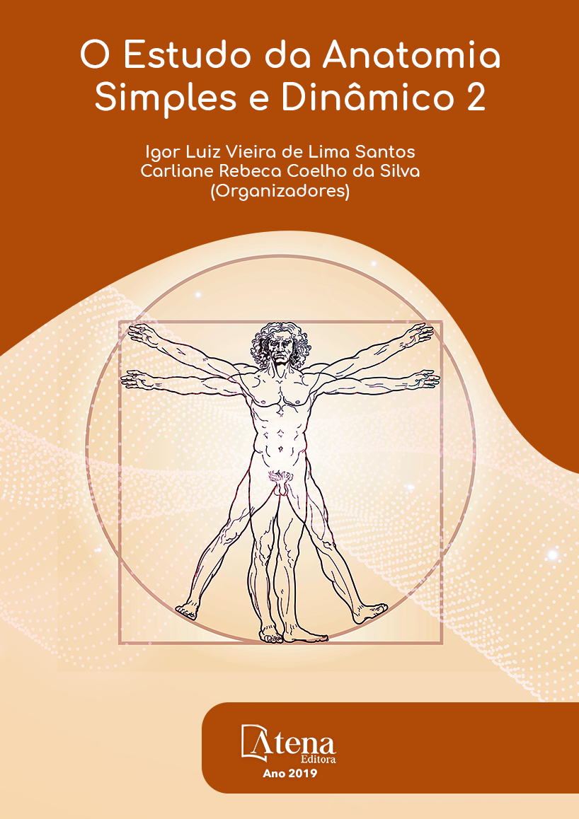 O Estudo de Anatomia Simples e Dinâmico 2