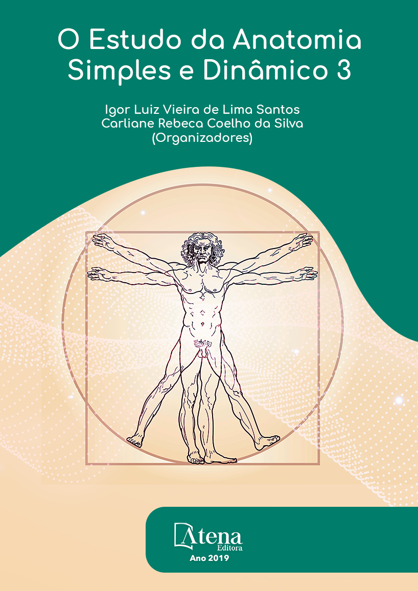 O Estudo de Anatomia Simples e Dinâmico 3