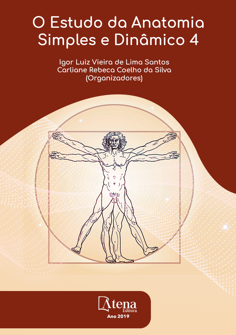 O Estudo de Anatomia Simples e Dinâmico 4