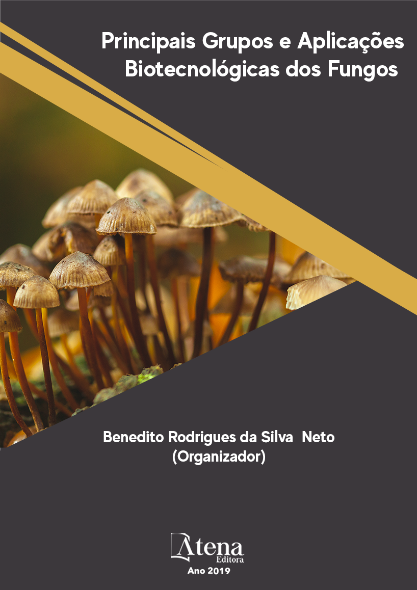 Principais Grupos e Aplicações Biotecnológicas dos Fungos