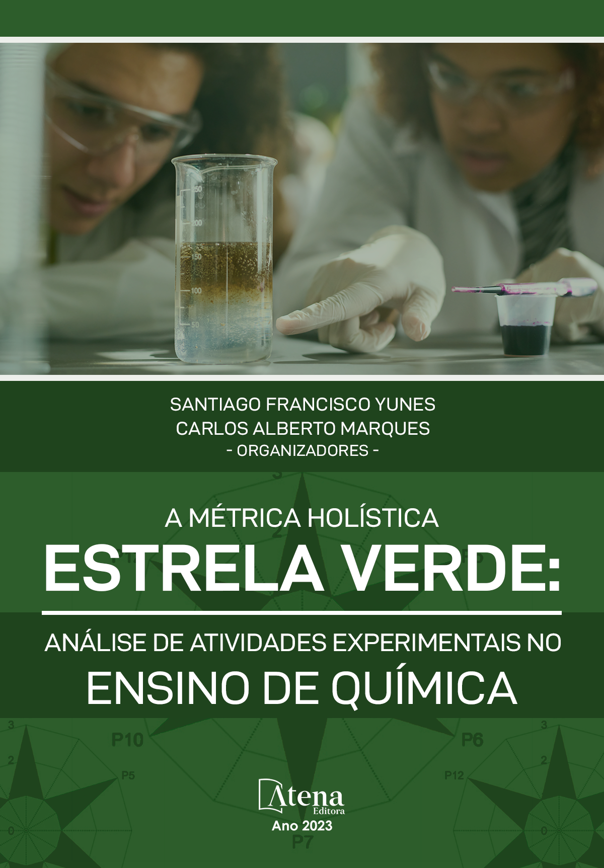 A Métrica Holística Estrela Verde: Análise de Atividades Experimentais no Ensino de Química
