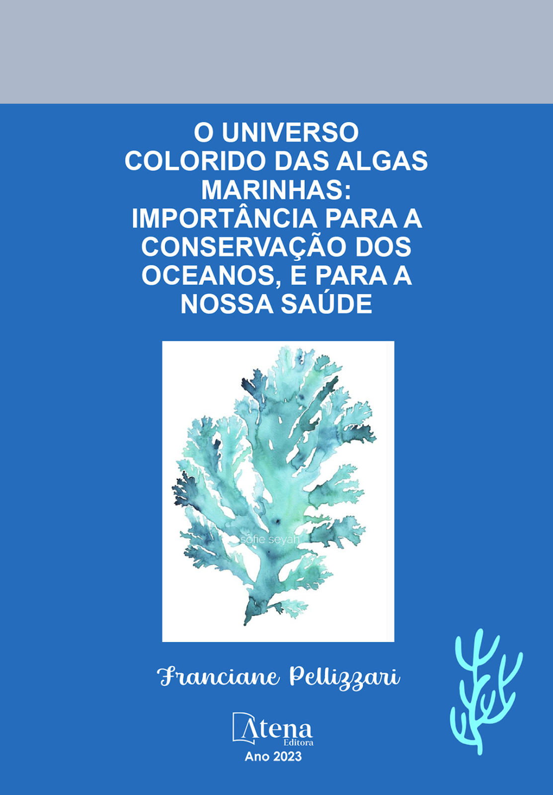 O universo colorido das algas marinhas: importância para a conservação dos oceanos, e para a nossa saúde