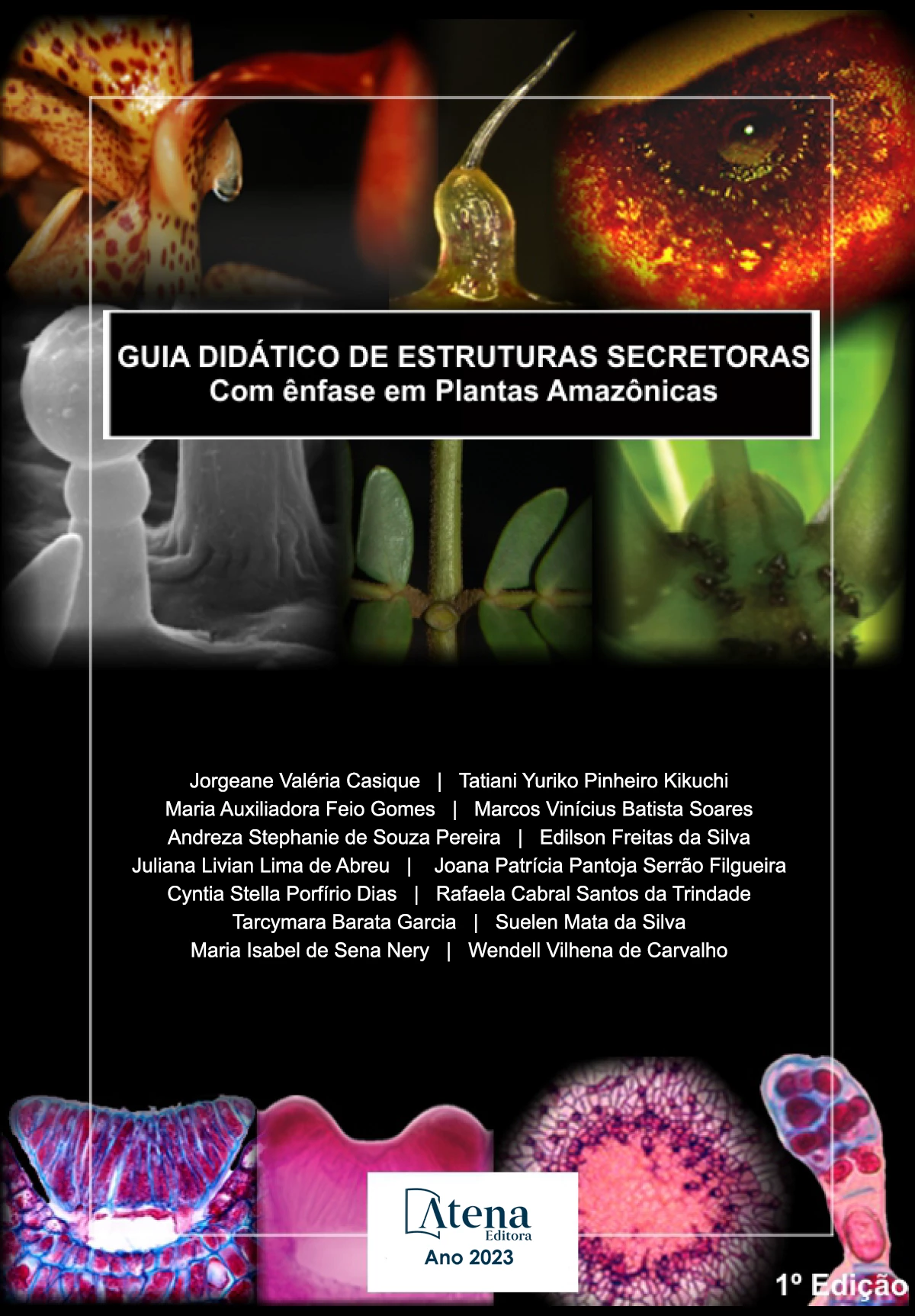 capa do ebook Guia didático de estruturas secretoras - Com ênfase em espécies ocorrentes na Amazônia