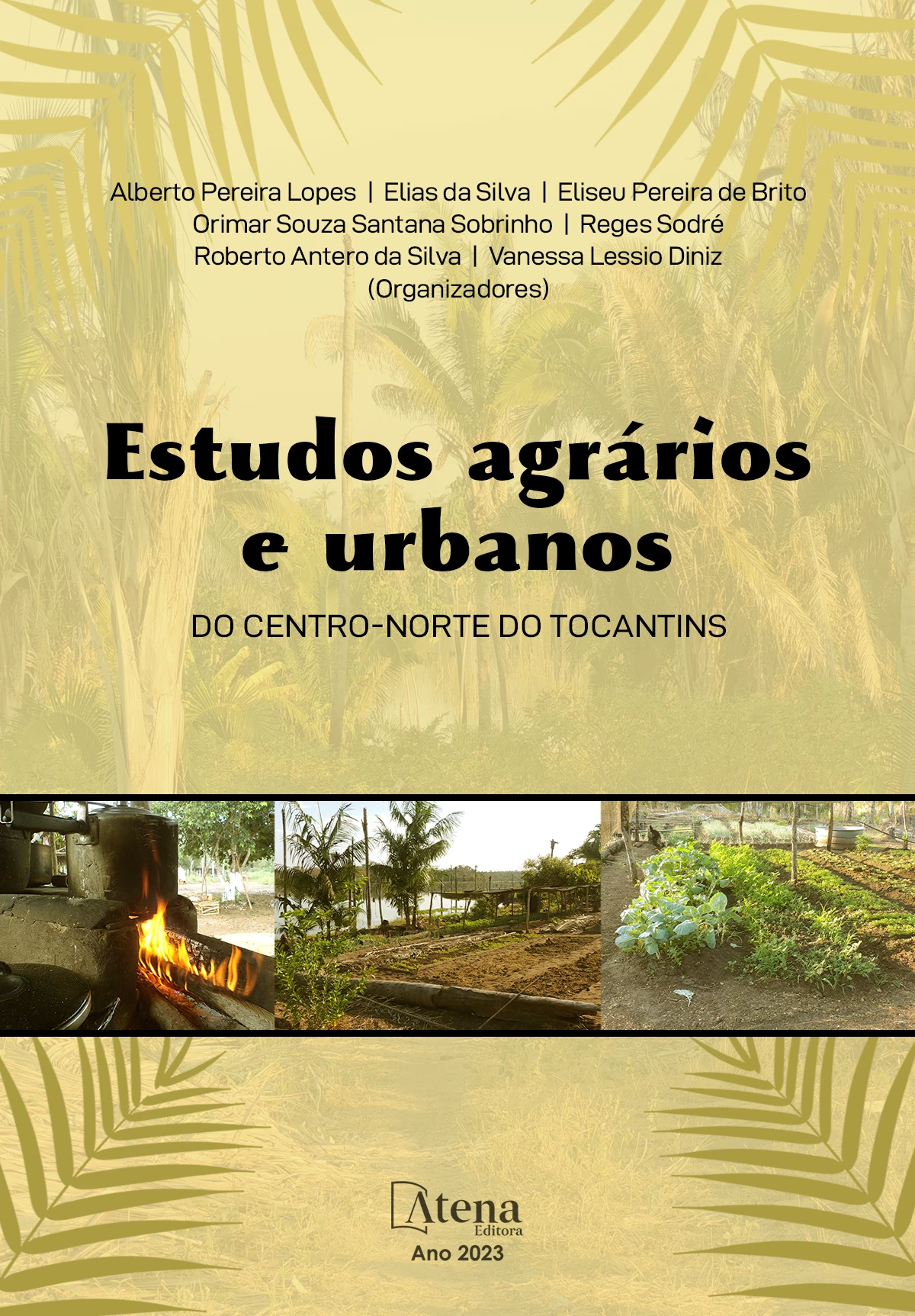 capa do ebook Estudos agrários e urbanos do centro-norte do Tocantins
