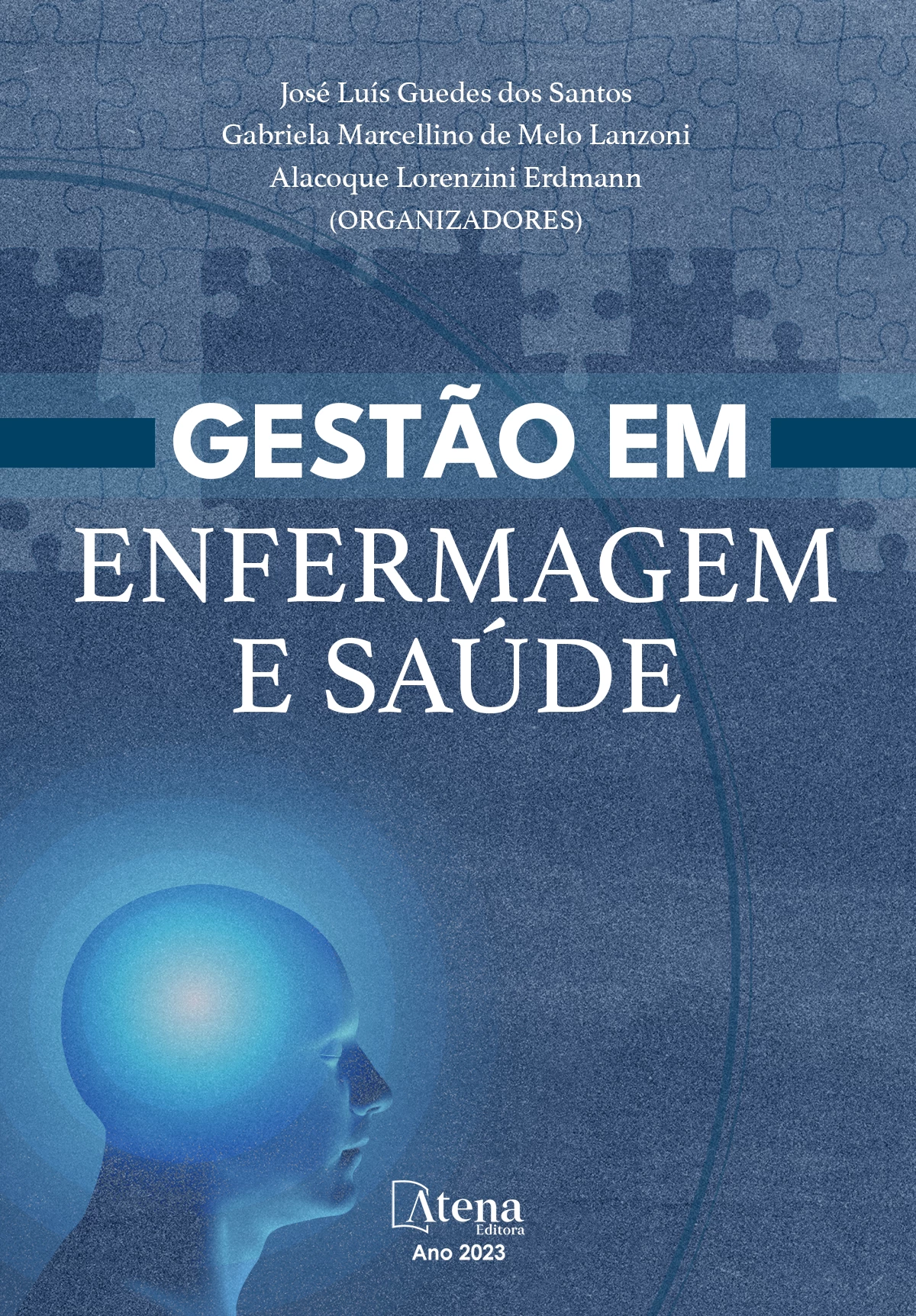 capa do ebook Gestão em enfermagem e saúde