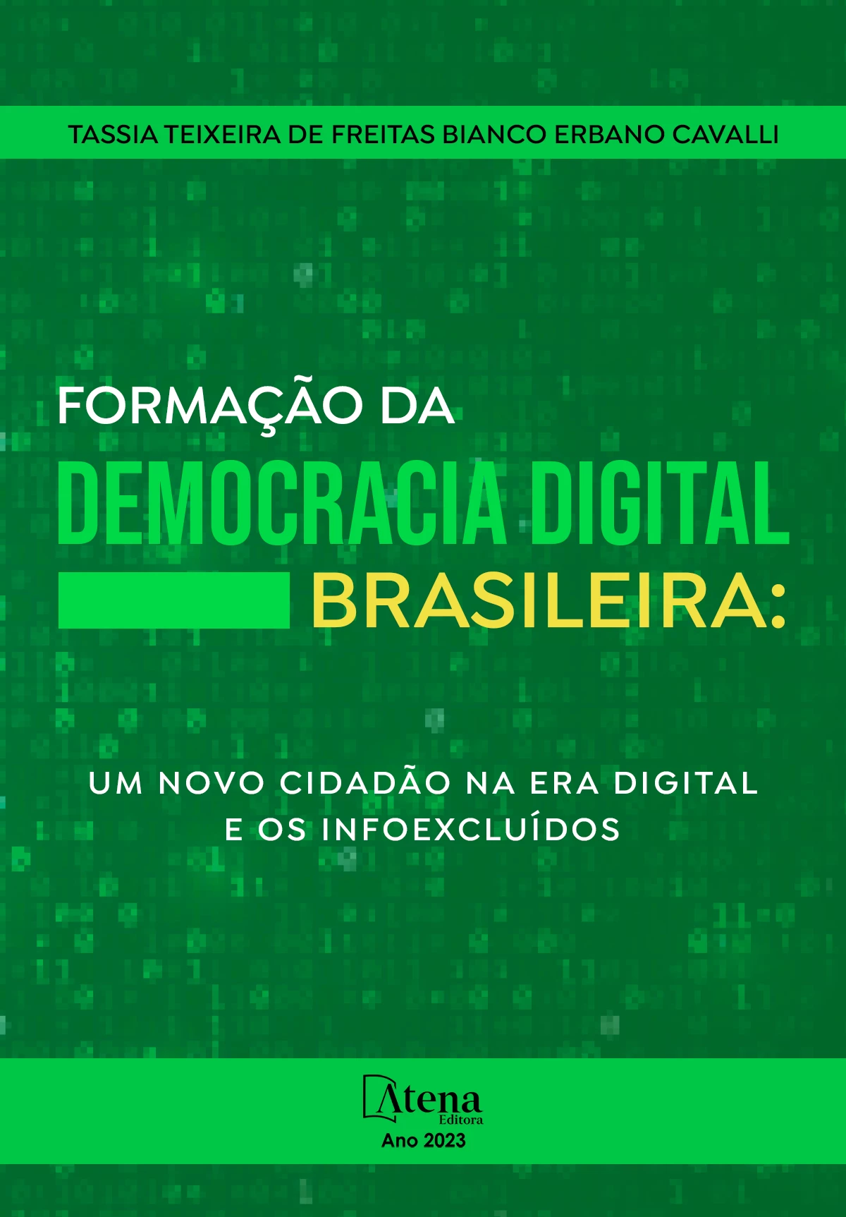 capa do ebook Formação da democracia digital brasileira: um novo cidadão na era digital e os infoexcluídos