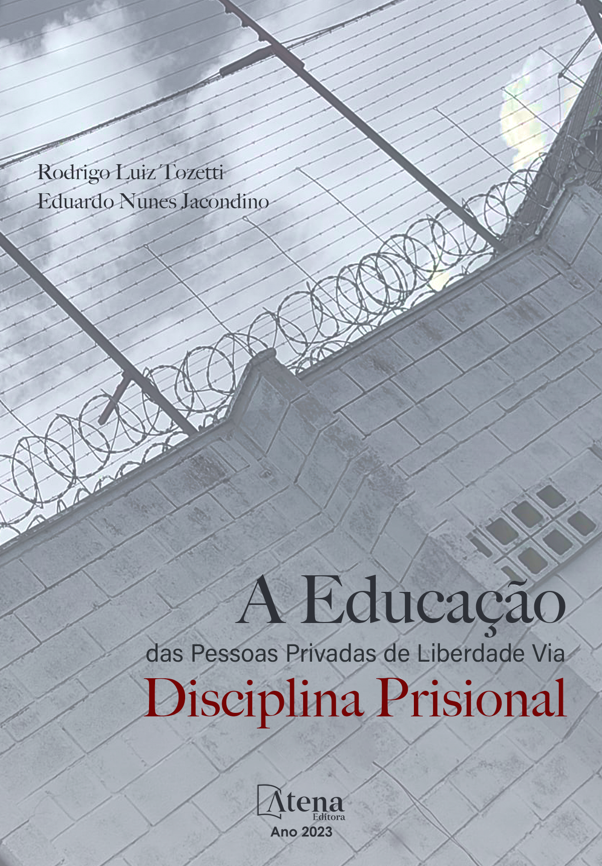A educação das pessoas privadas de liberdade, via disciplina prisional