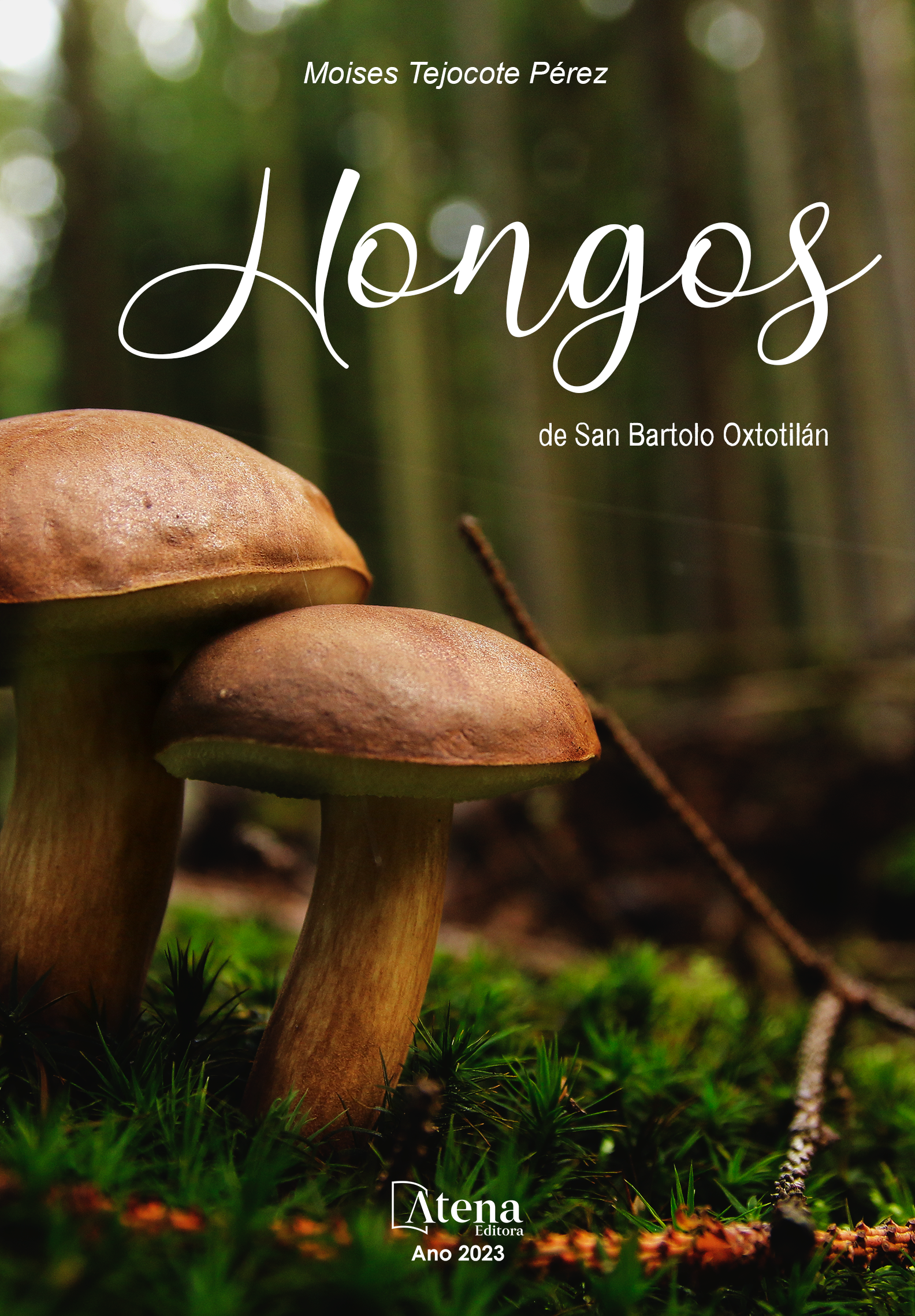 Hongos de San Bartolo Oxtotilán