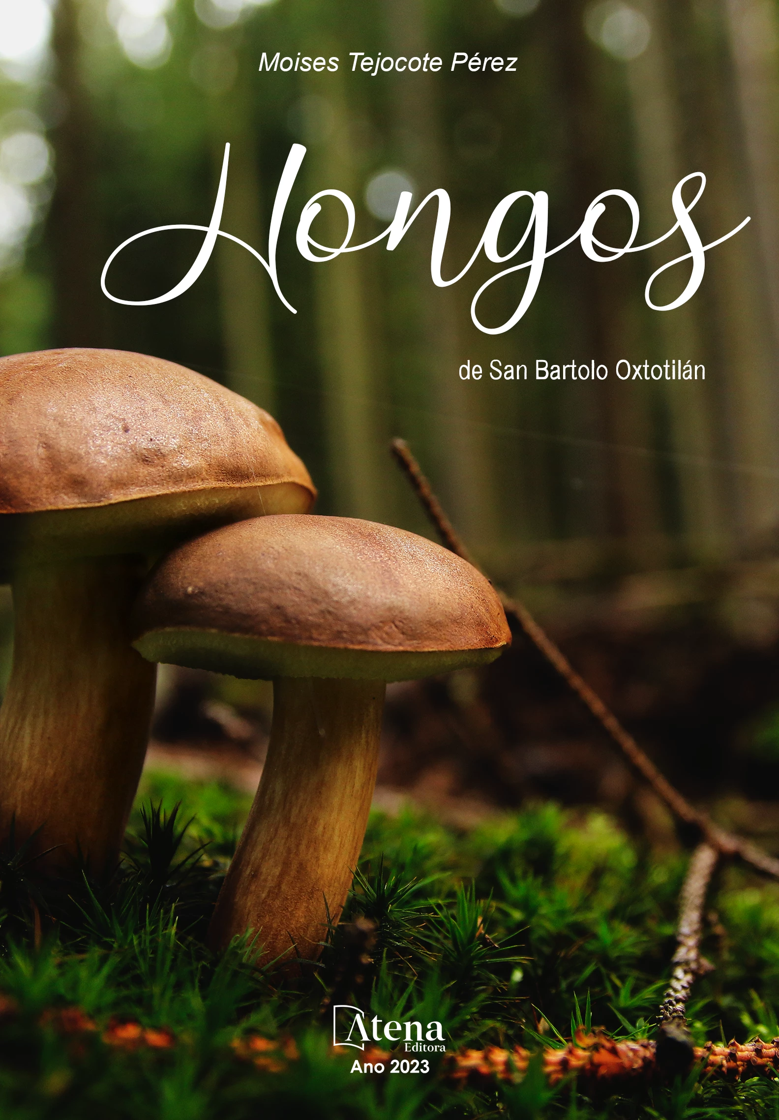 capa do ebook Hongos de San Bartolo Oxtotilán