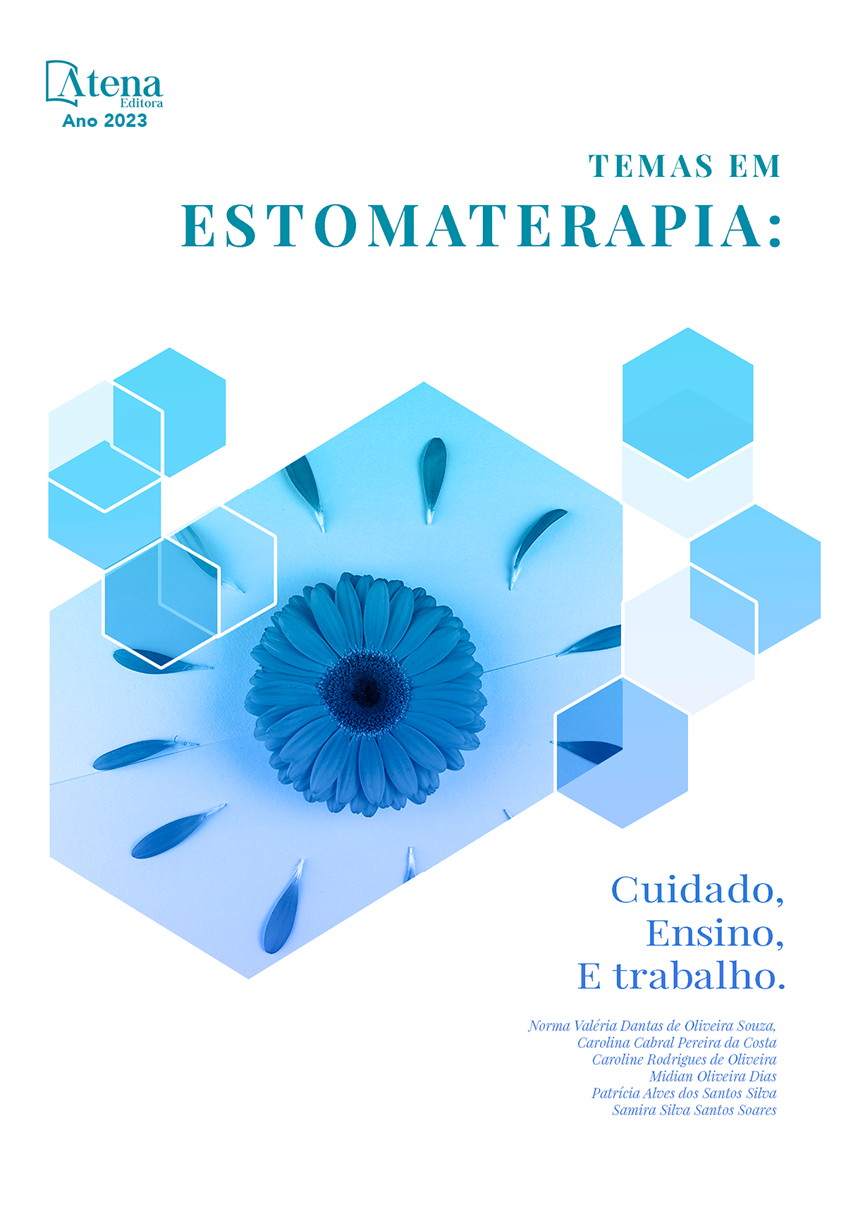 Temas em enfermagem em estomaterapia: cuidado, ensino e trabalho