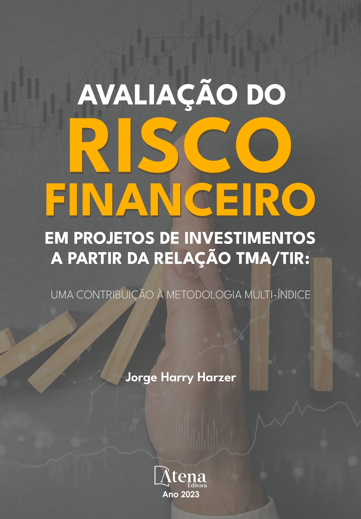 capa do ebook Avaliação do risco financeiro em projetos de investimentos a partir da relação TMA/TIR: uma contribuição à metodologia multi-índice