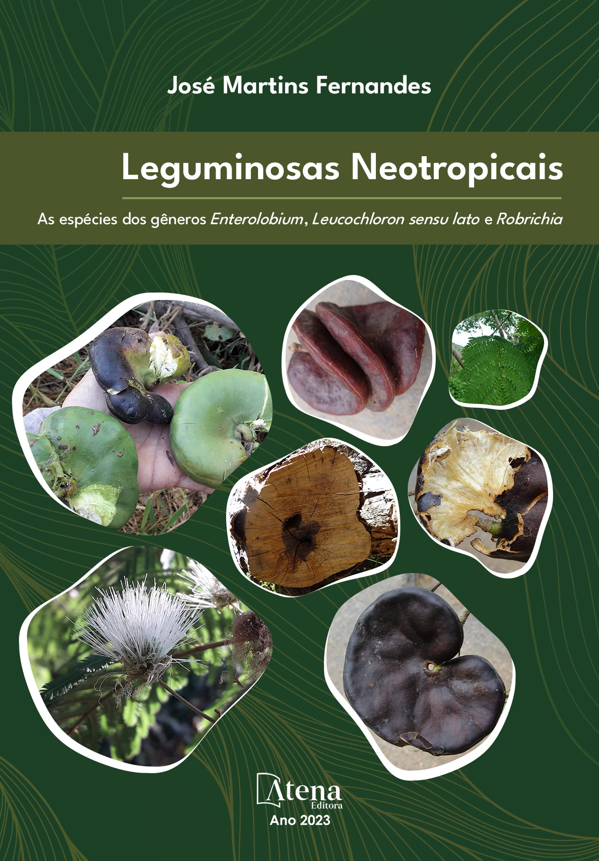 capa do ebook Leguminosas Neotropicais - As espécies dos gêneros Enterolobium, Leucochloron sensu lato e Robrichia