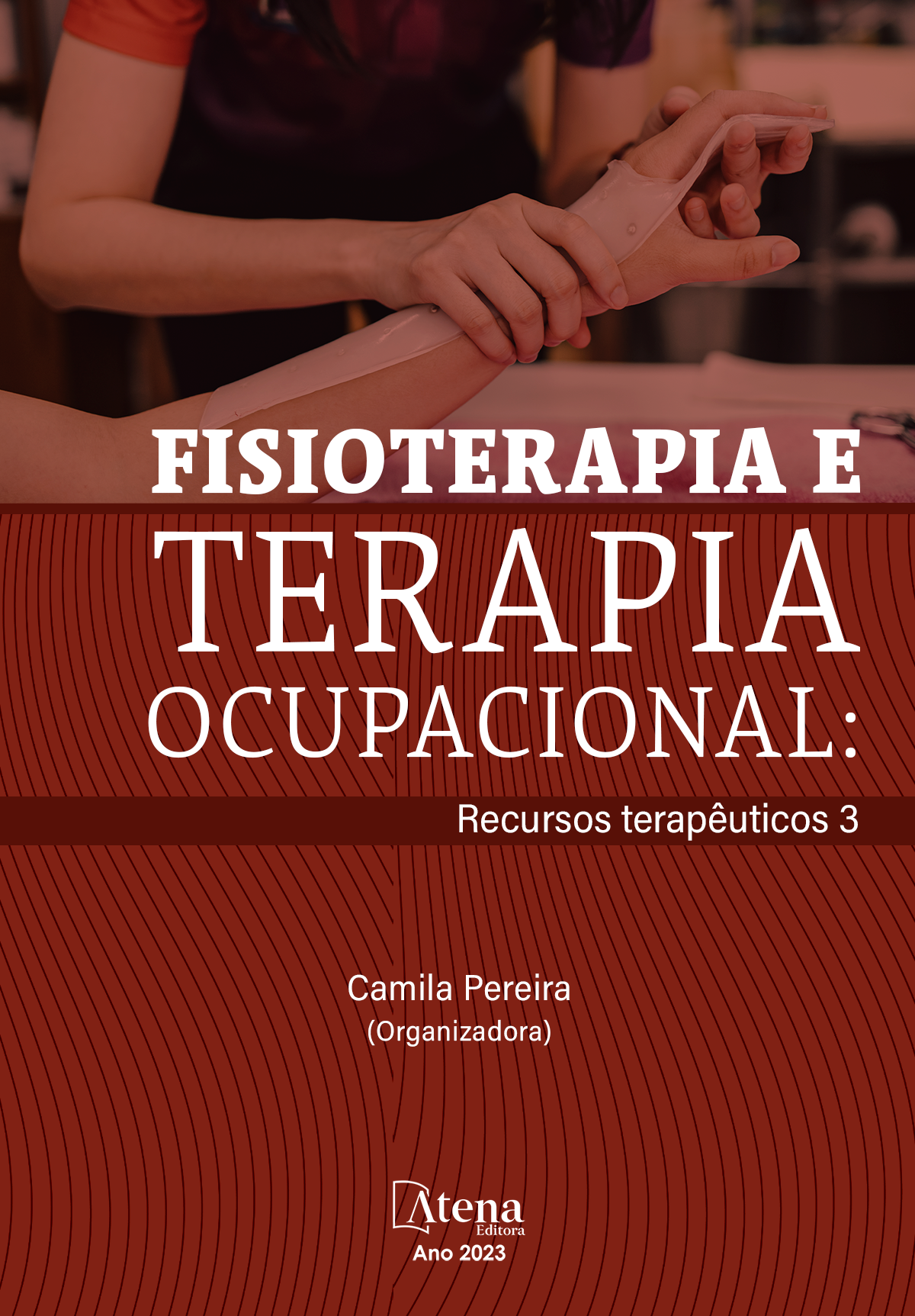 Fisioterapia e terapia ocupacional: Recursos terapêuticos 3