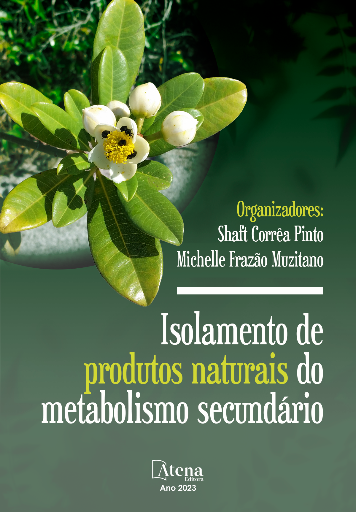 Isolamento de produtos naturais do metabolismo secundário