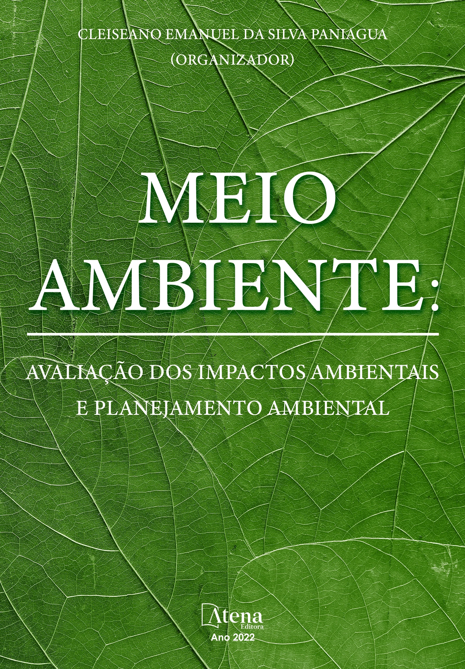 capa do ebook Meio ambiente: Avaliação dos impactos ambientais e planejamento ambiental