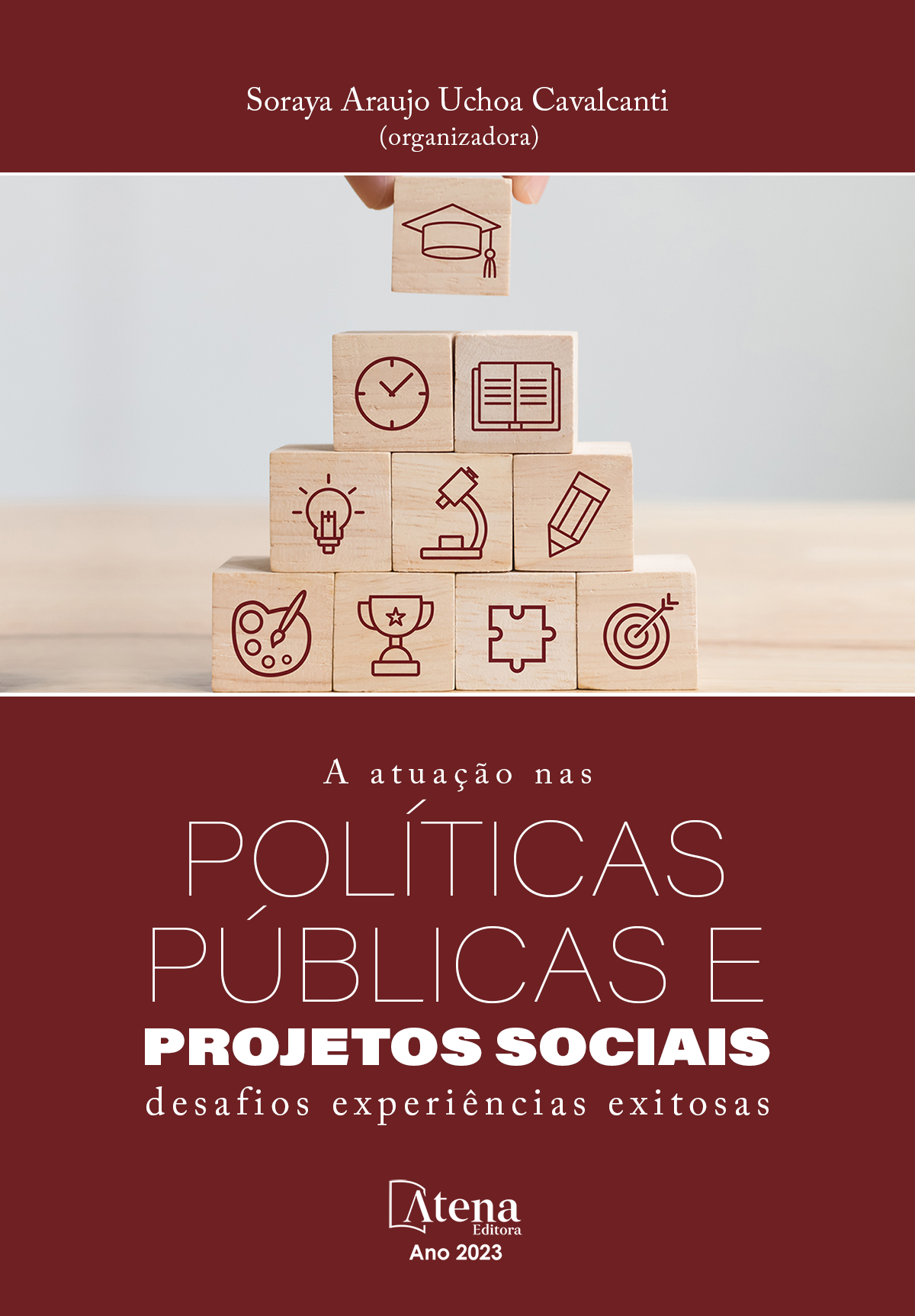 A atuação nas políticas públicas e projetos sociais: desafios experiências exitosas