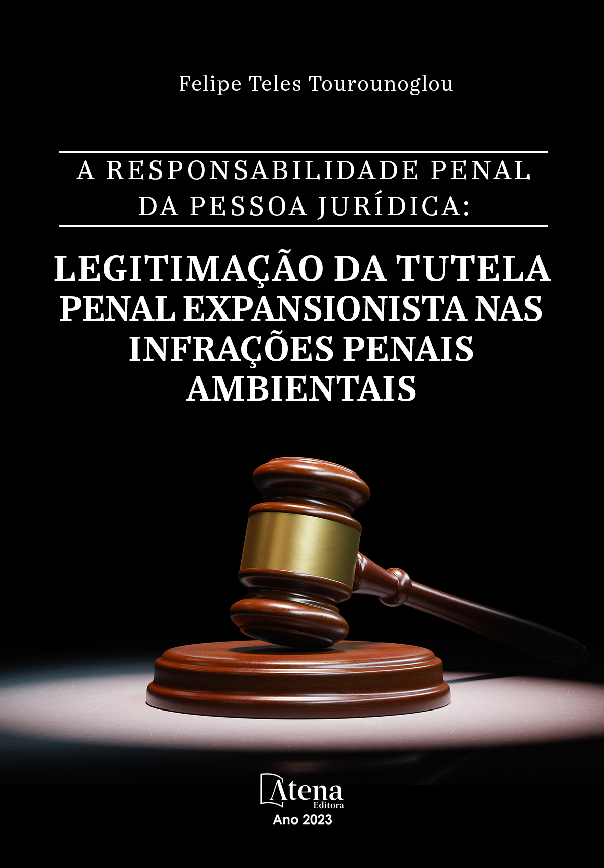 A responsabilidade penal da pessoa jurídica: legitimação da tutela penal expansionista nas infrações penais ambientais
