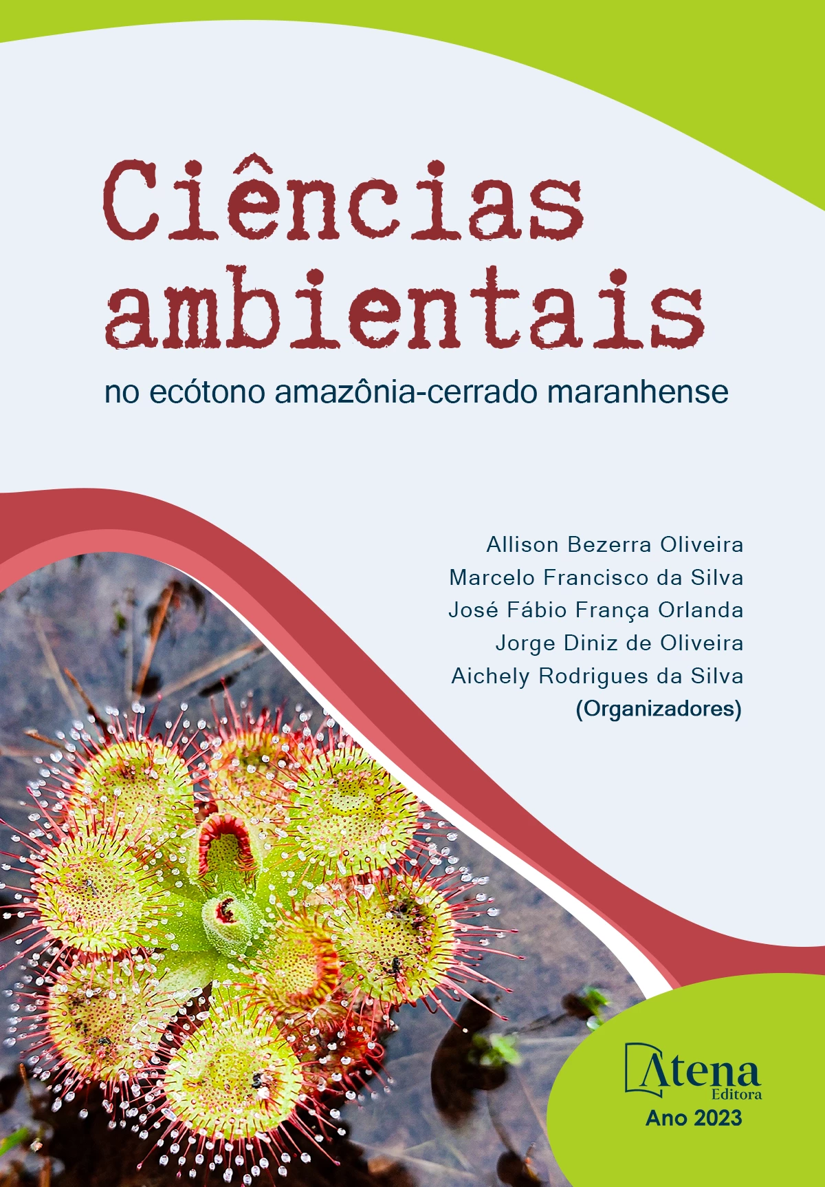 capa do ebook Ciências ambientais no ecótono amazônia-cerrado maranhense