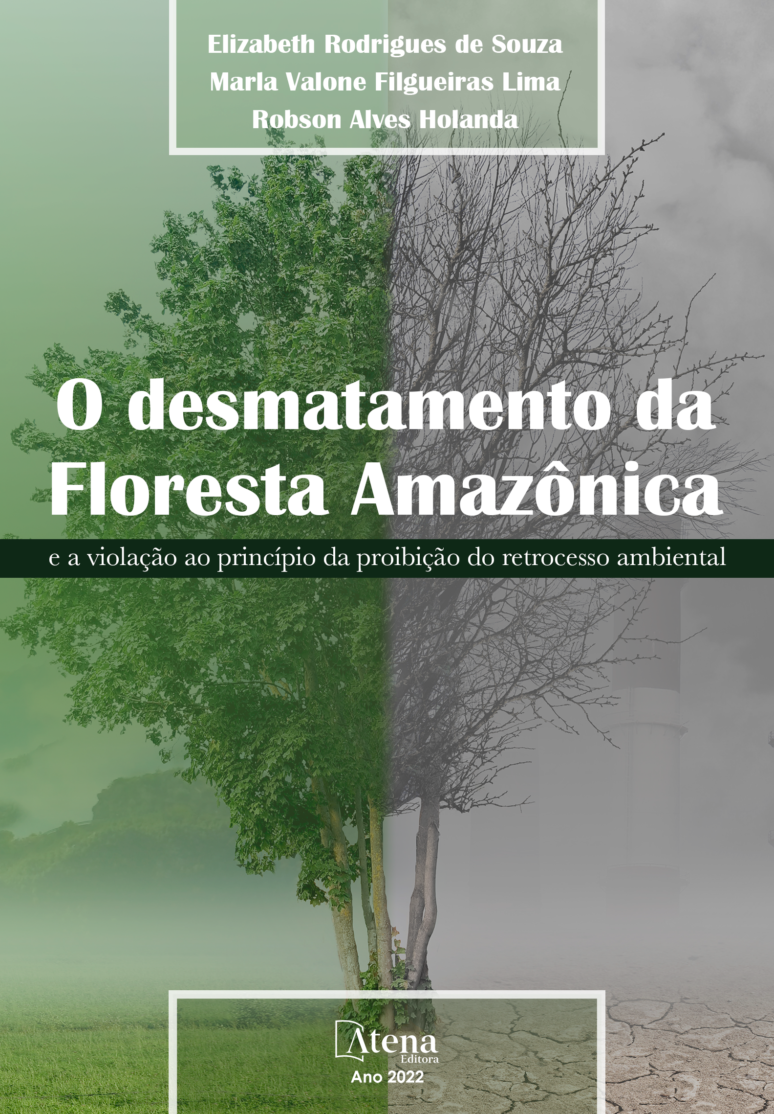 O desmatamento da Floresta Amazônica e a violação ao princípio da proibição do retrocesso ambiental