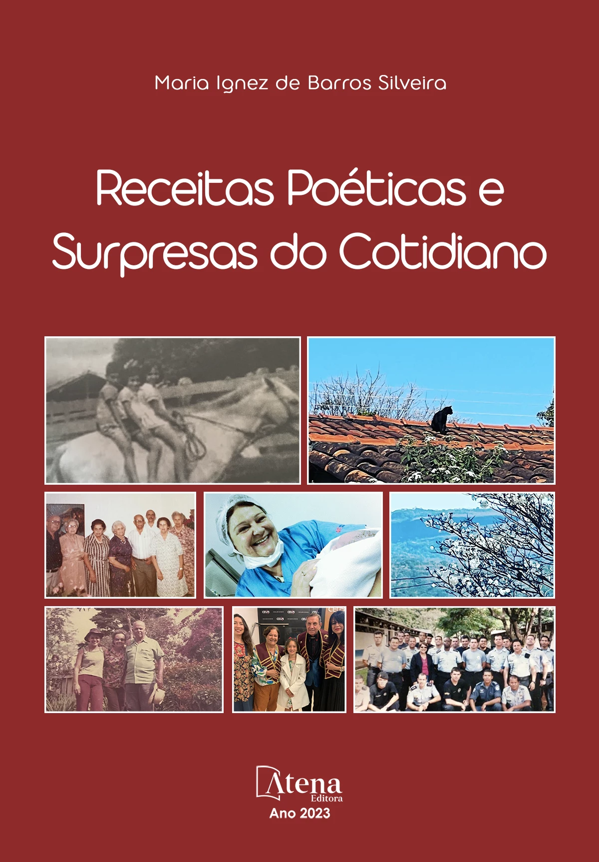 capa do ebook Receitas poéticas e surpresas do cotidiano