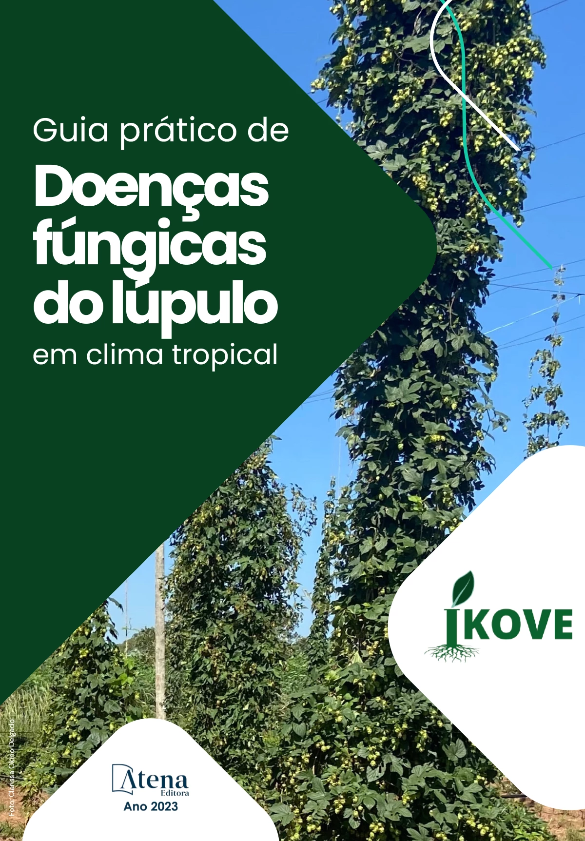 capa do ebook Guia prático de doenças fúngicas do lúpulo em clima tropical