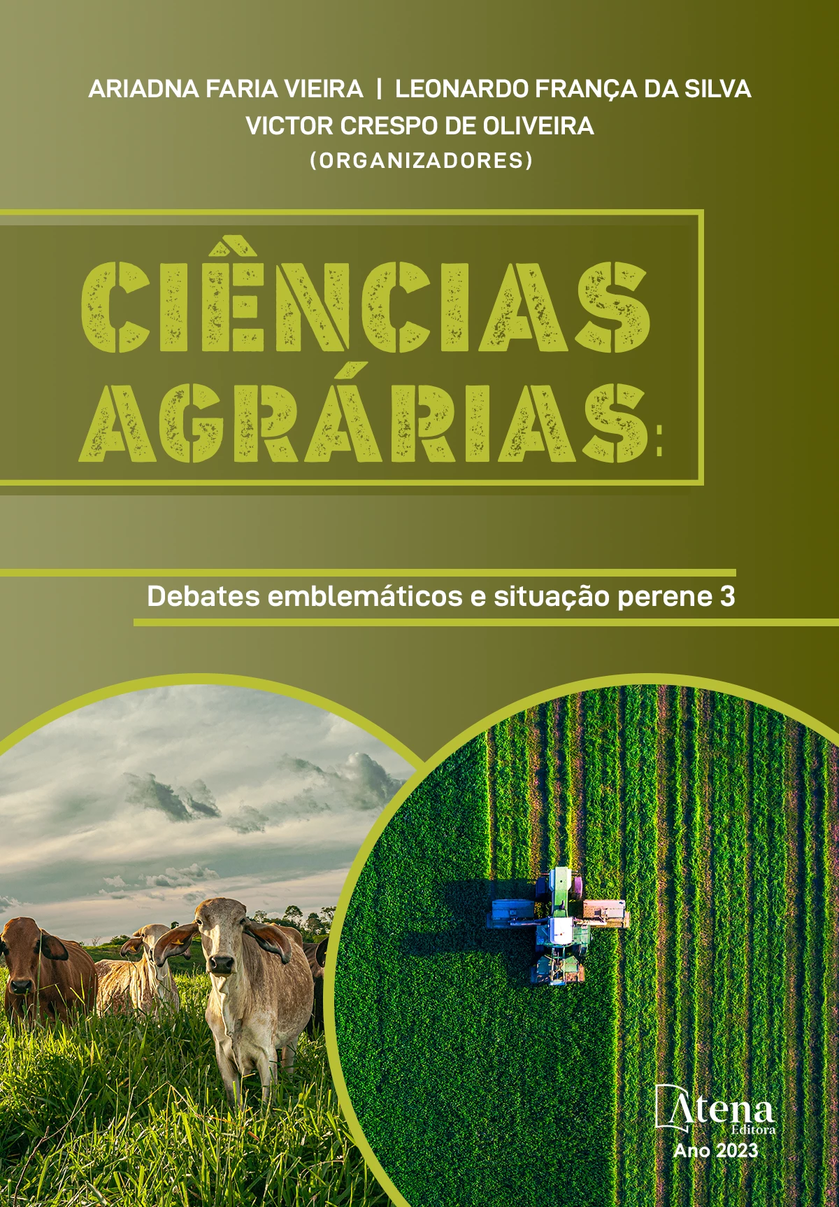 capa do ebook Ciências agrárias: Debates emblemáticos e situação perene 3