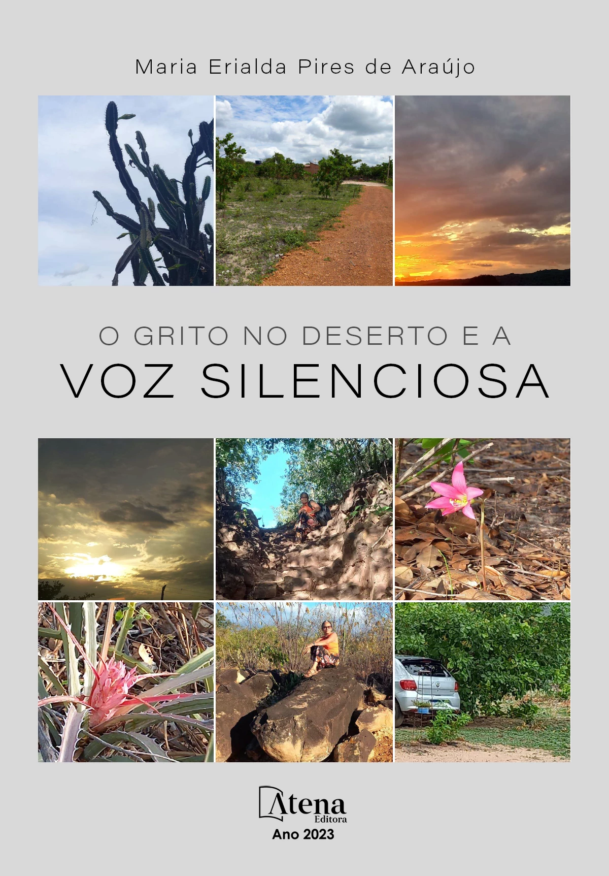 capa do ebook O Grito no deserto e a voz silenciosa