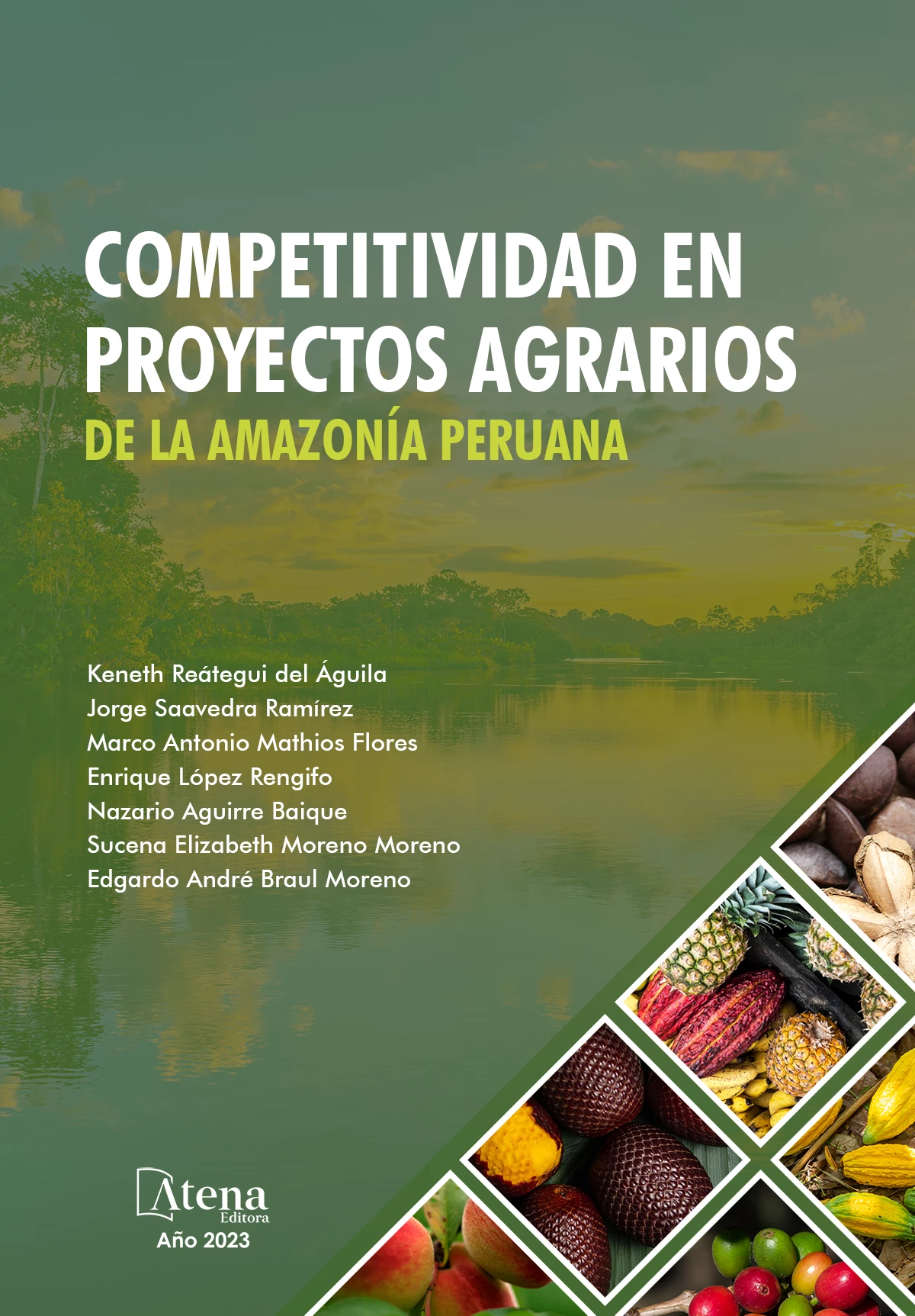 capa do ebook Competitividad en proyectos agrarios de la Amazonía Peruana