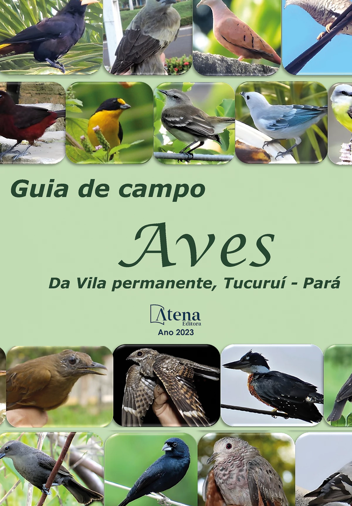 capa do ebook Guia de campo - Aves