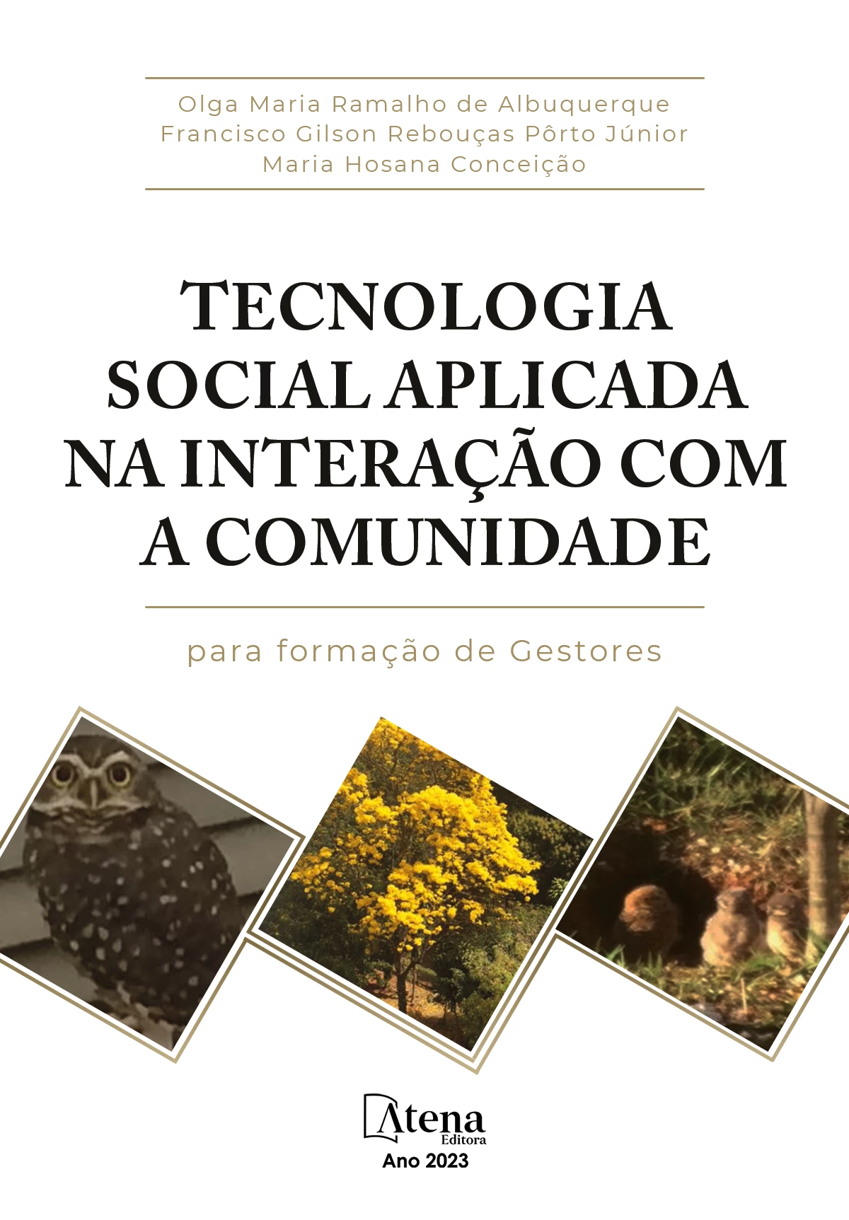 capa do ebook Tecnologia social aplicada na interação com a comunidade para formação de gestores