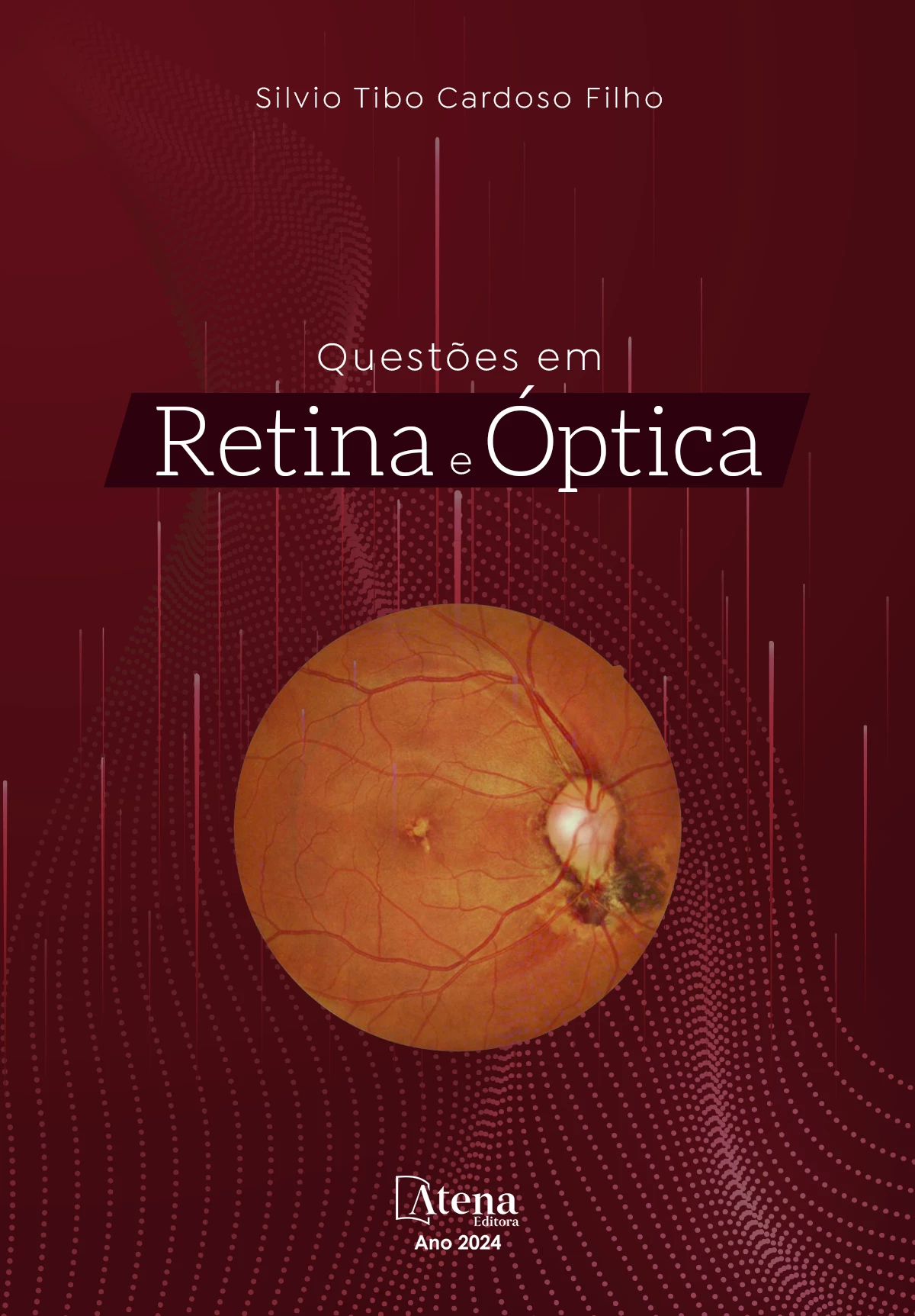 capa do ebook Questões em retina e óptica