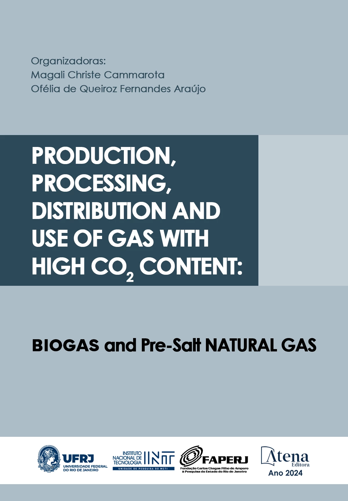 capa do ebook Production, processing, distribution and use of gas with high CO2 content: biogas and pre-salt natural gas