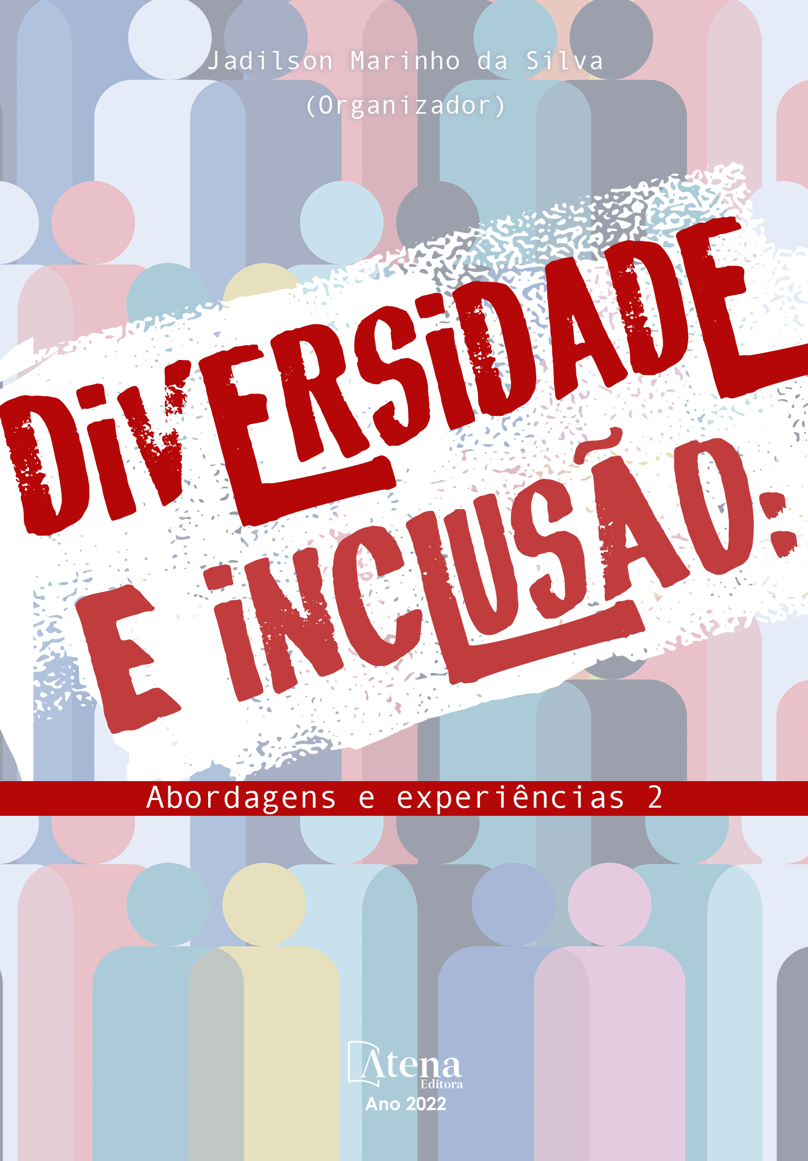 Diversidade e inclusão: Abordagens e experiências 2