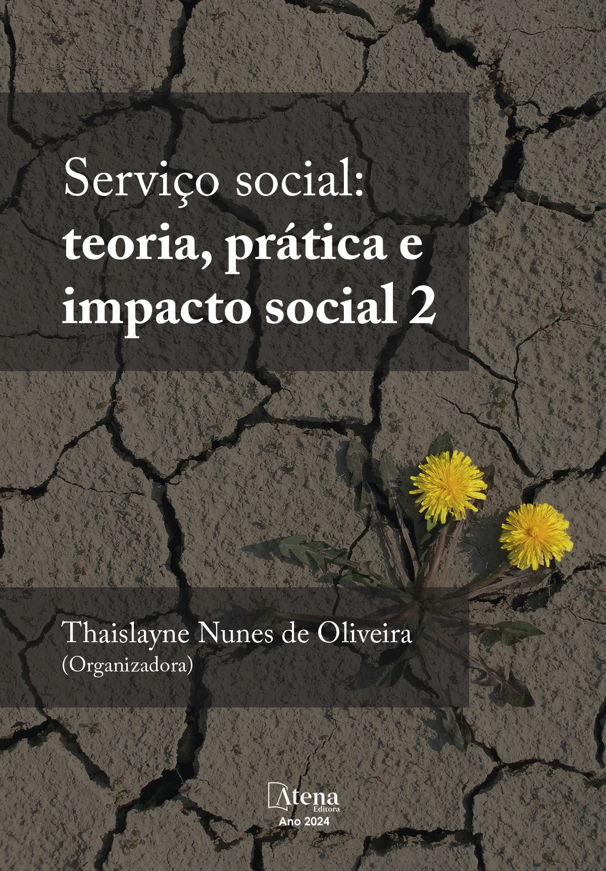 capa do ebook Serviço social: teoria, prática e impacto social 2