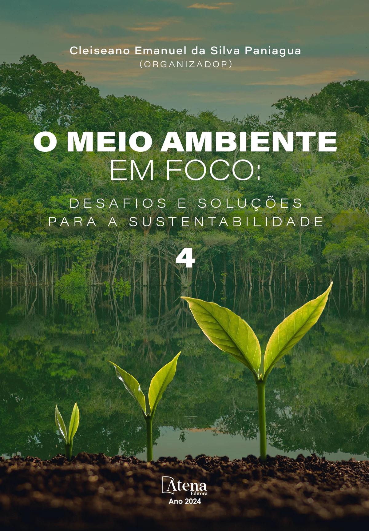 capa do ebook O meio ambiente em foco: desafios e soluções para a sustentabilidade 4