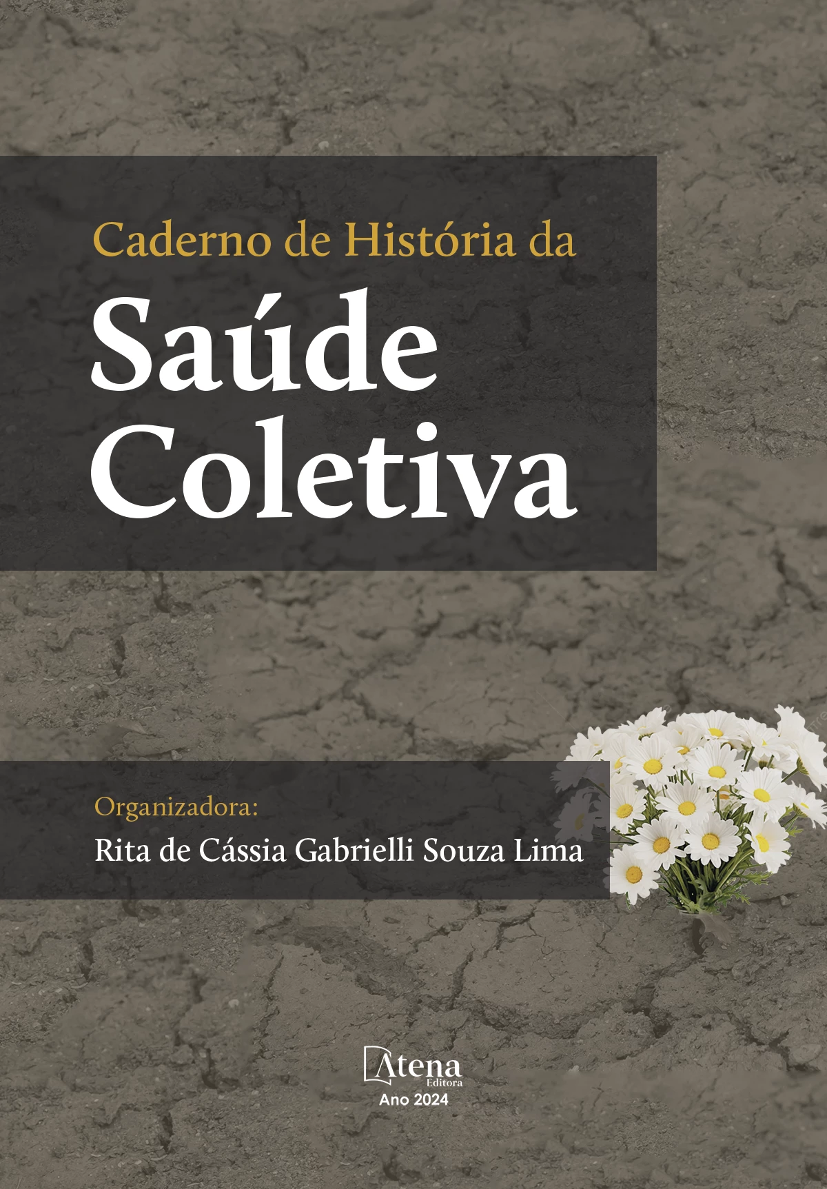 capa do ebook Caderno de história da saúde coletiva