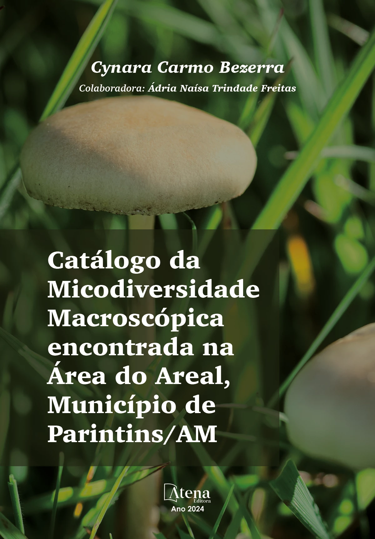 capa do ebook Catálogo da micodiversidade macroscópica encontrada na área do Areal, Município de Parintins/AM