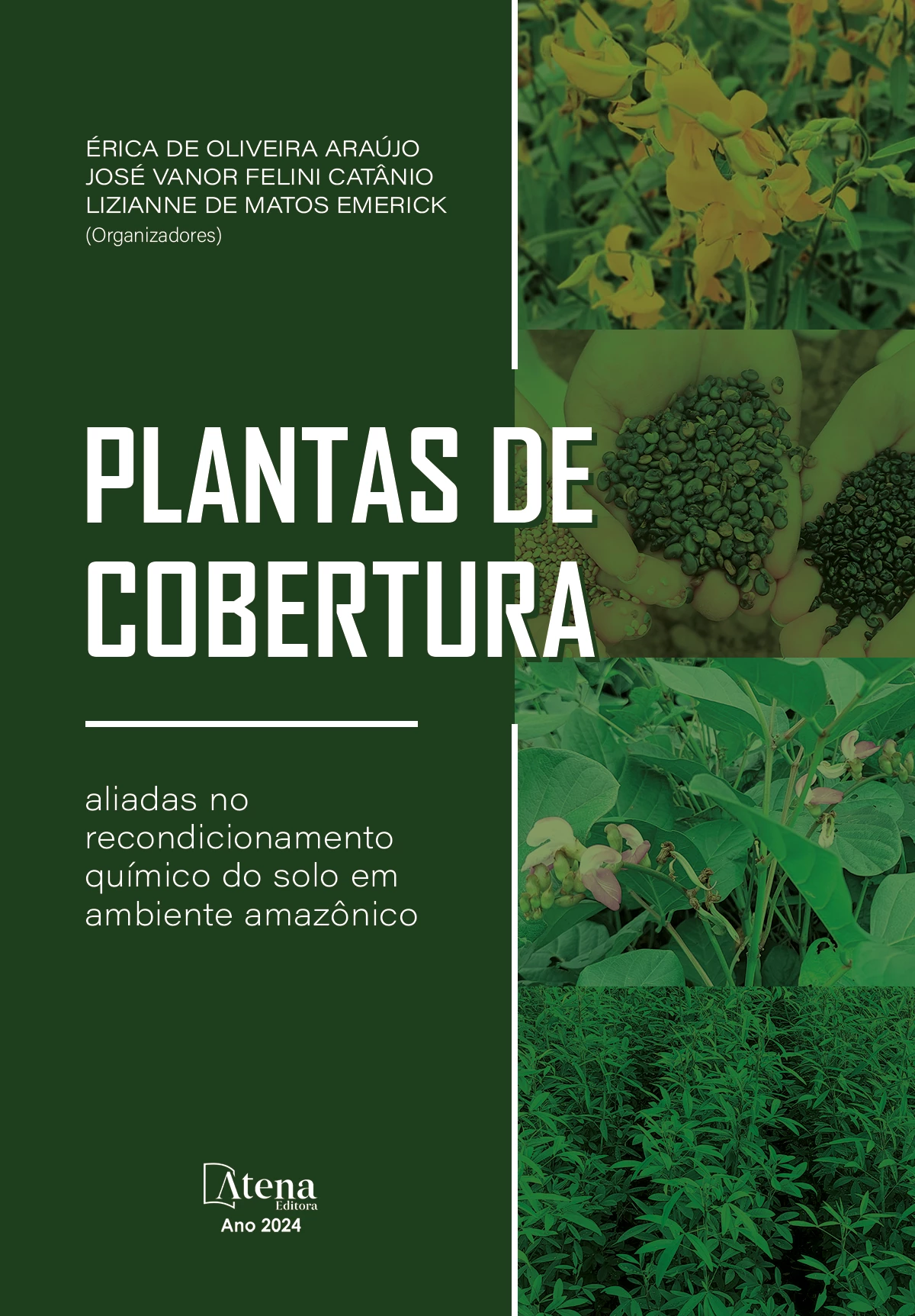 capa do ebook Plantas de cobertura: aliadas no recondicionamento químico do solo em ambiente amazônico