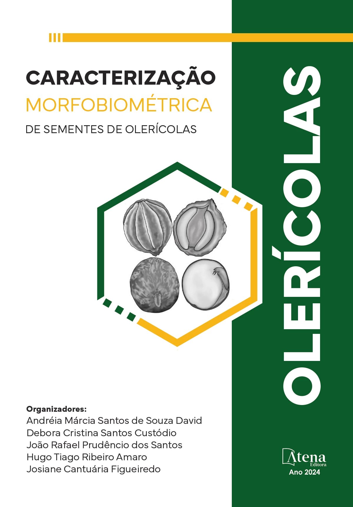capa do ebook Caracterização morfobiométrica de sementes de olerícolas