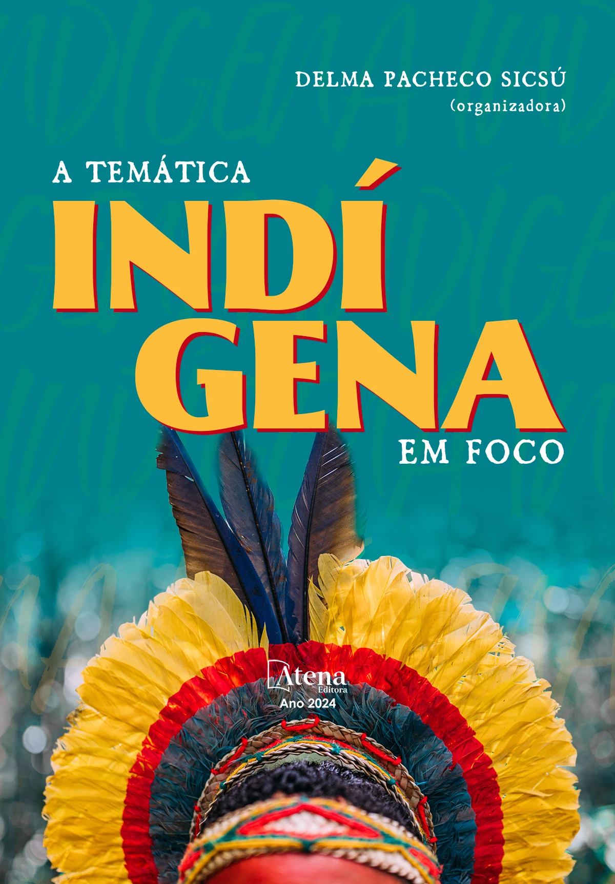 capa do ebook A temática indígena em foco