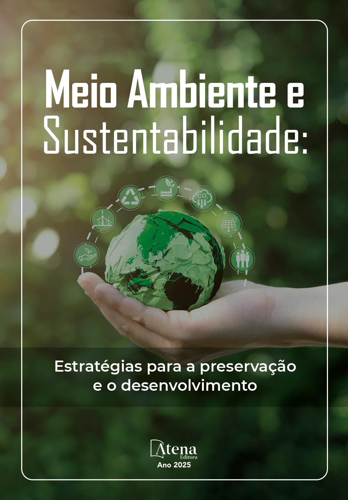 capa do ebook Meio Ambiente e Sustentabilidade: Estratégias para a preservação e o desenvolvimento