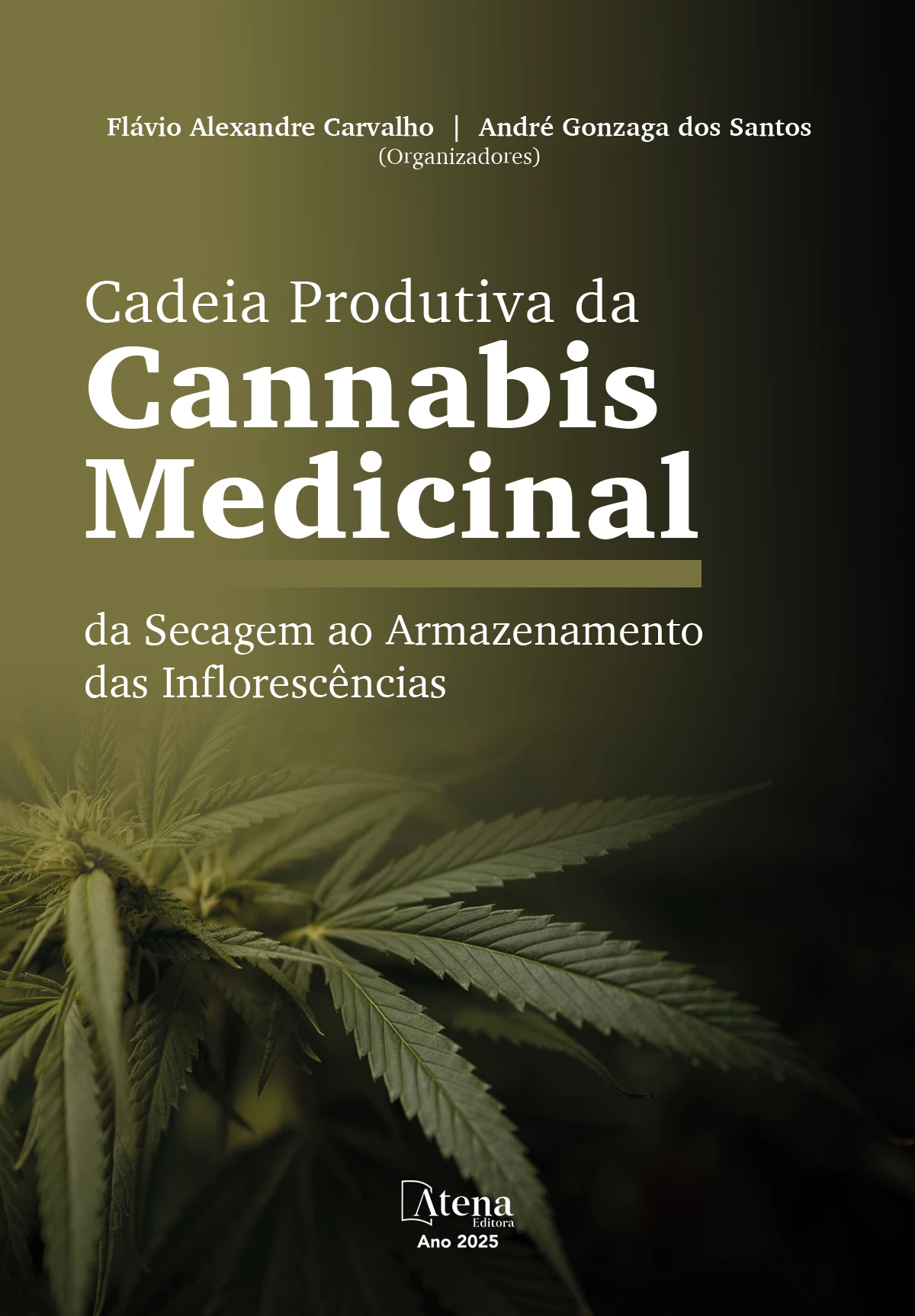 Cadeia Produtiva da Cannabis Medicinal - da Secagem ao Armazenamento das Inflorescências