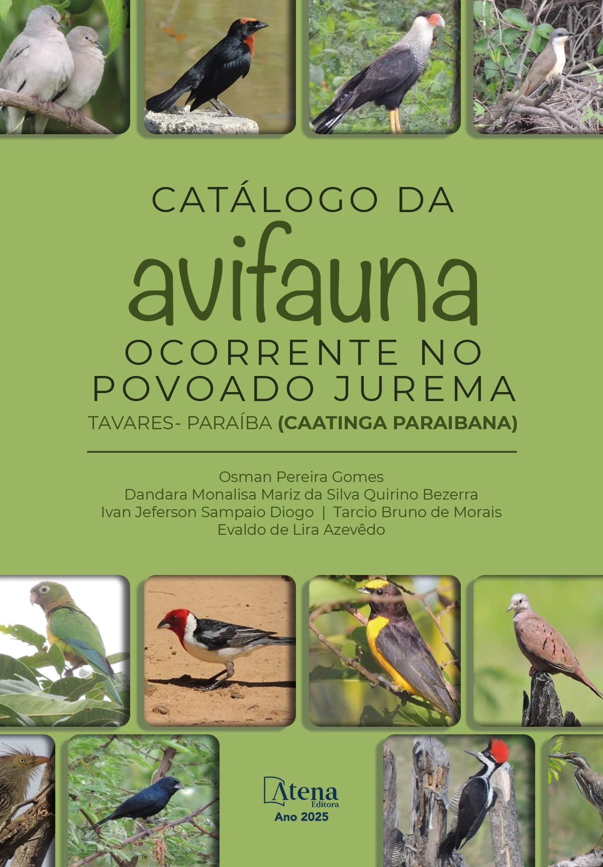 capa do ebook Catálogo da Avifauna ocorrente no Povoado Jurema - Tavares (Caatinga Paraibana)