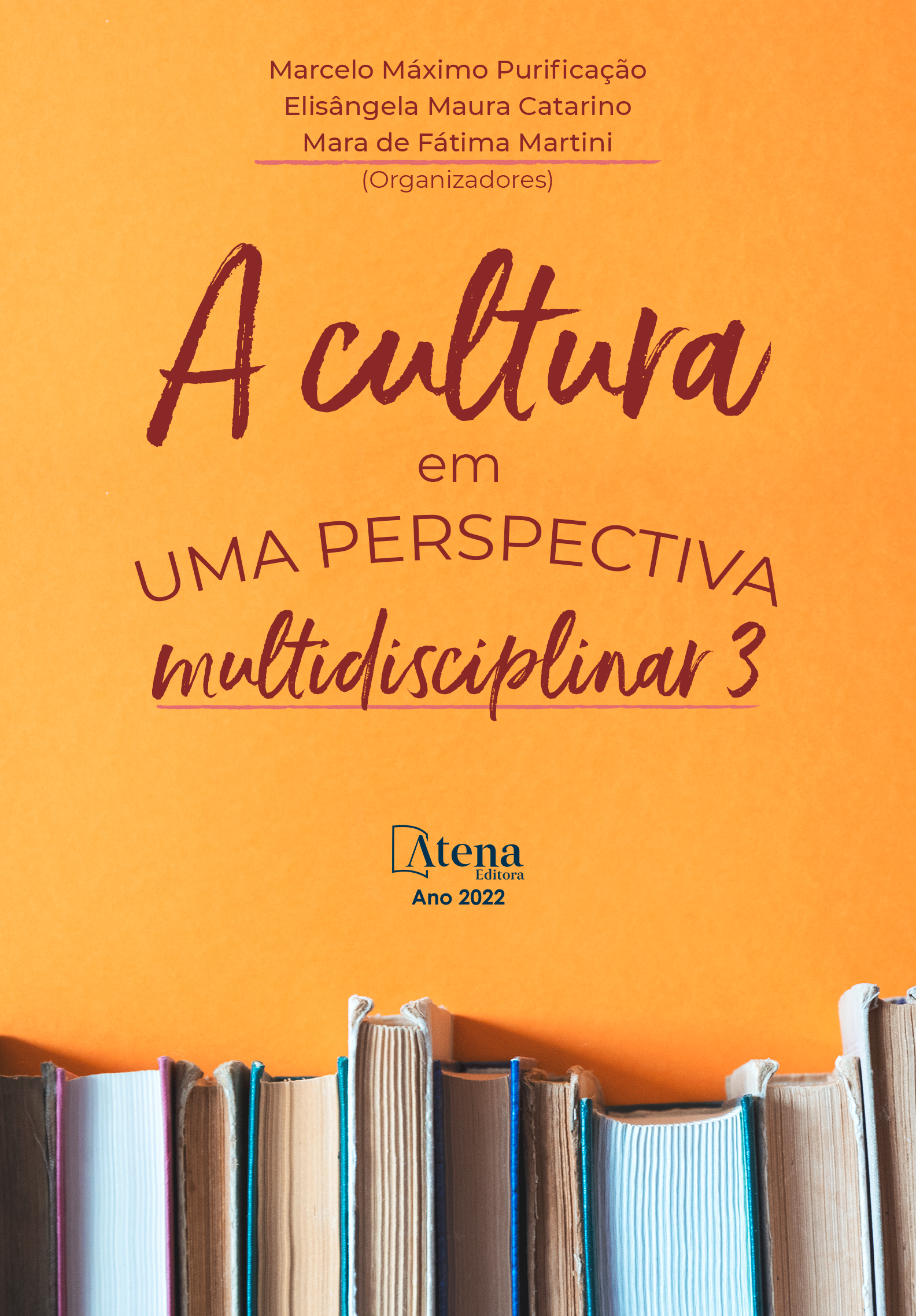 A cultura em uma perspectiva multidisciplinar 3