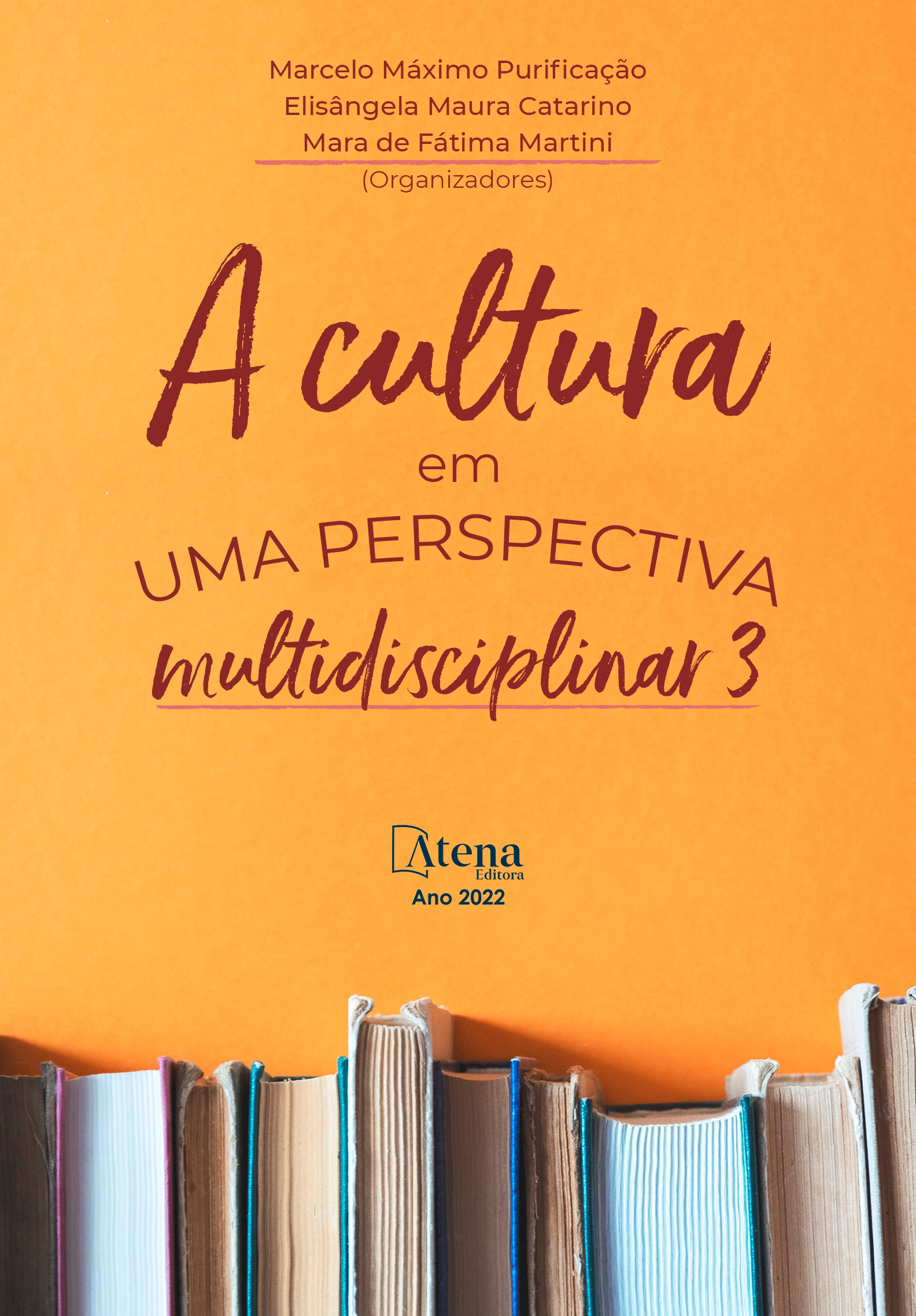 capa do ebook A cultura em uma perspectiva multidisciplinar 3