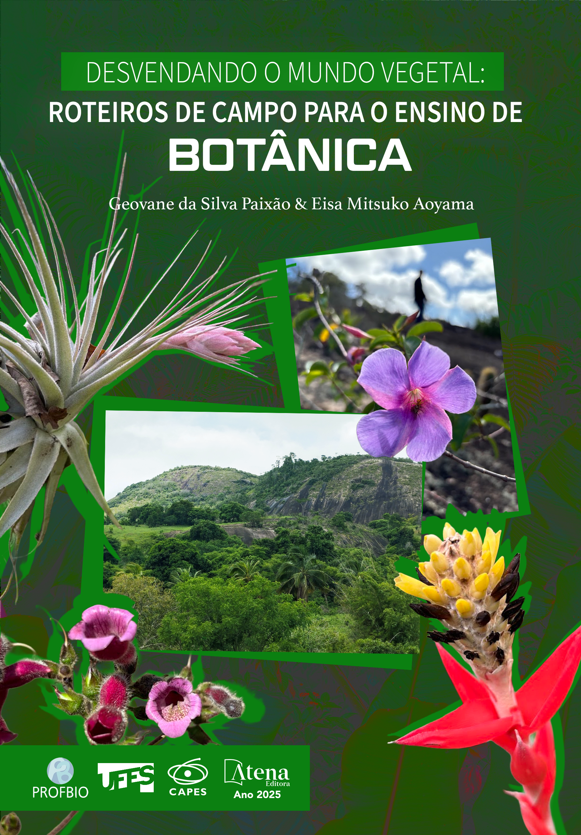 Desvendando o mundo vegetal: roteiros de campo para o ensino de botânica