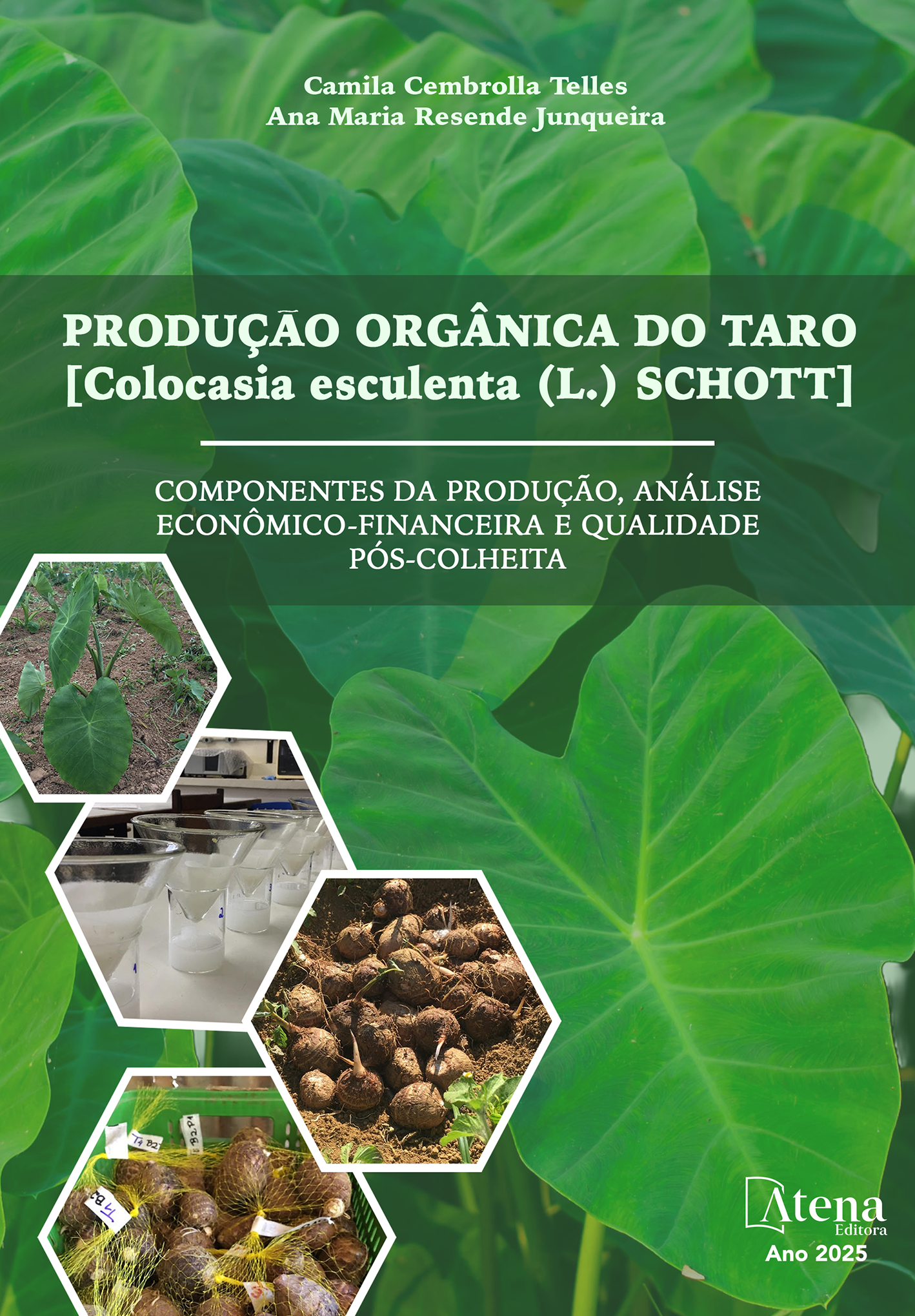 Produção orgânica do taro [Colocasia esculenta (L.) Schott]: componentes da produção, análise econômicofinanceira e qualidade pós-colheita