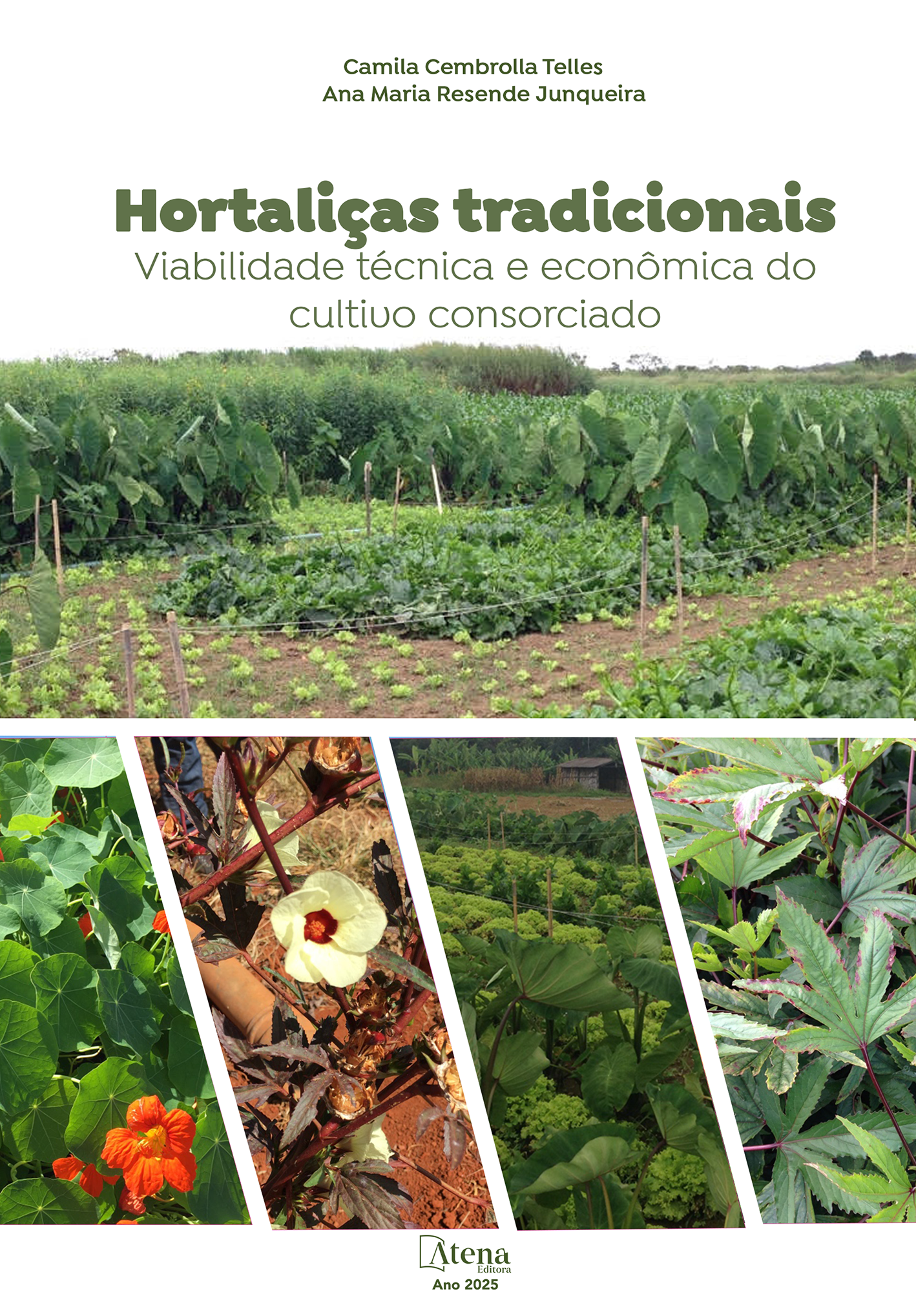 Hortaliças tradicionais: viabilidade técnica e econômica do cultivo consorciado