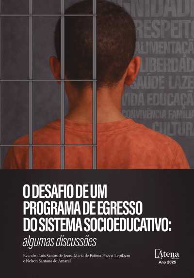 O desafio de um programa de egressos do sistema socioeducativo: algumas discussões