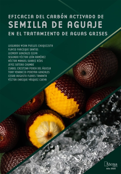 Eficacia del carbón activado de semilla de aguaje en el tratamiento de aguas grises